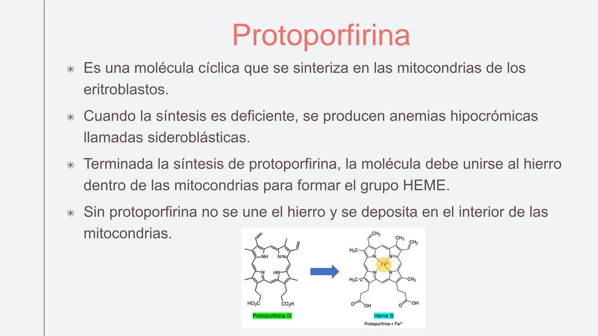 # Serie roja
GENERALIDADES # Eritropoyesis
@atlas_clinico3
Proeritroblasto
@atlas_clinico3
Célula madre
pluripotencial
Eritoblasto Bas