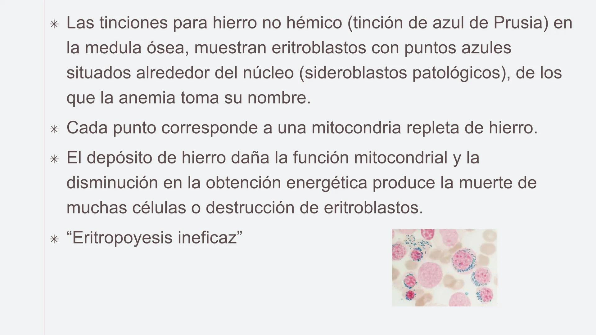 # Serie roja
GENERALIDADES # Eritropoyesis
@atlas_clinico3
Proeritroblasto
@atlas_clinico3
Célula madre
pluripotencial
Eritoblasto Bas