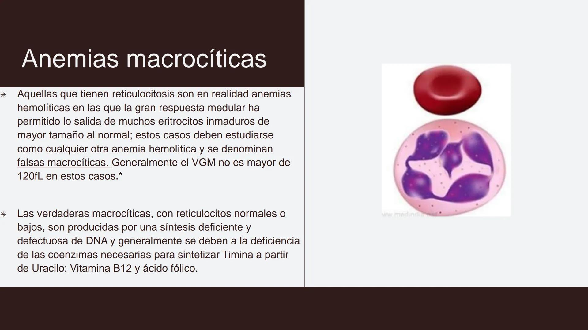 # Serie roja
GENERALIDADES # Eritropoyesis
@atlas_clinico3
Proeritroblasto
@atlas_clinico3
Célula madre
pluripotencial
Eritoblasto Bas
