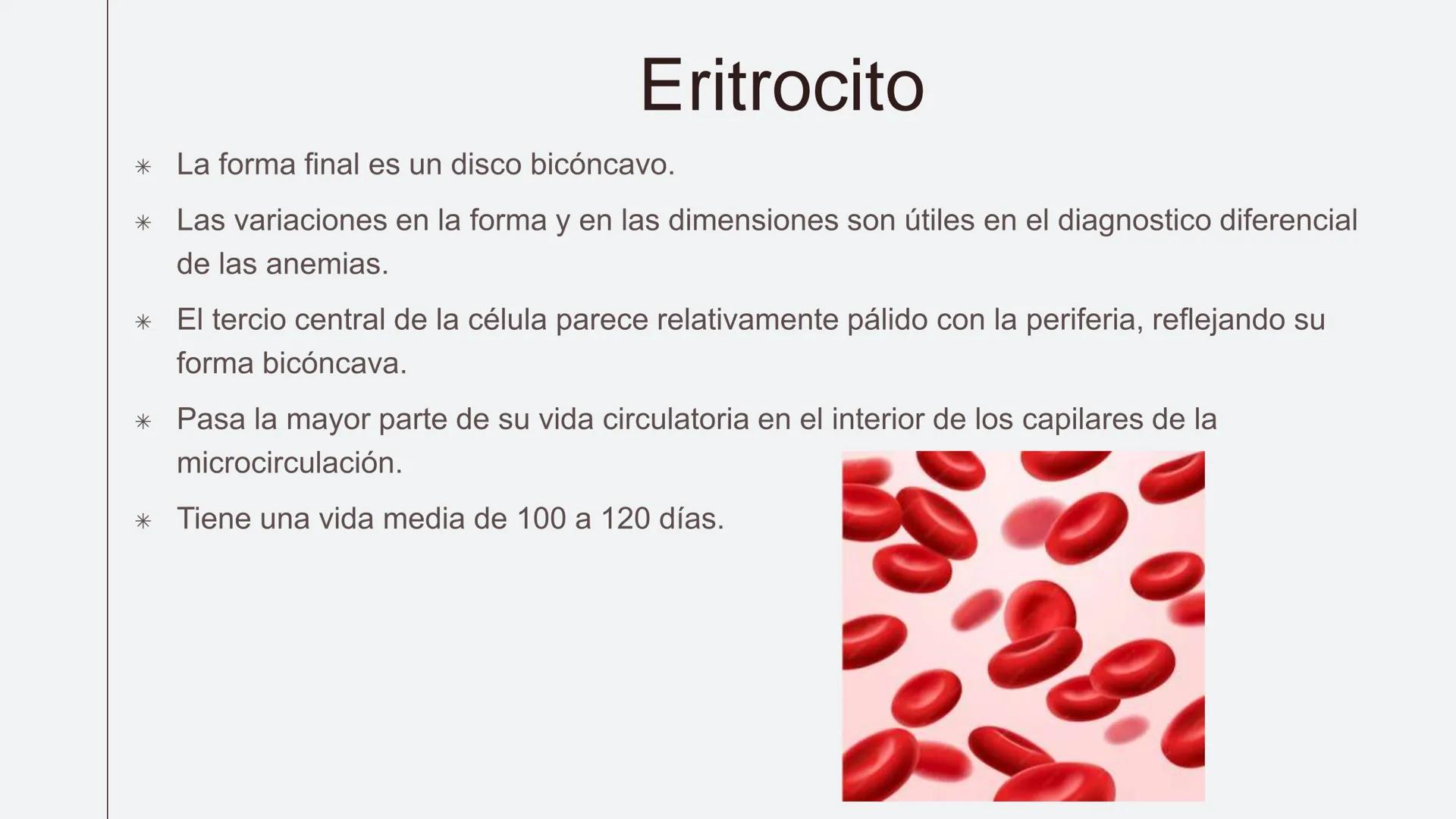 # Serie roja
GENERALIDADES # Eritropoyesis
@atlas_clinico3
Proeritroblasto
@atlas_clinico3
Célula madre
pluripotencial
Eritoblasto Bas