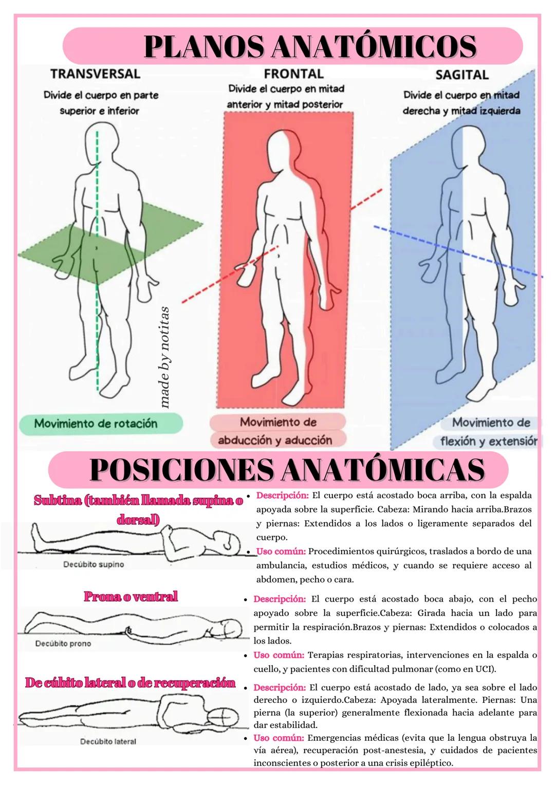 # ANATOMÍA Y FISIOLOGÍA
BÁSICAS
• Anatomía (griego): (Ana) "hacia arriba o sobre"
(Tome) "corte". Se traduce como "Disección. "
"Ciencia qu