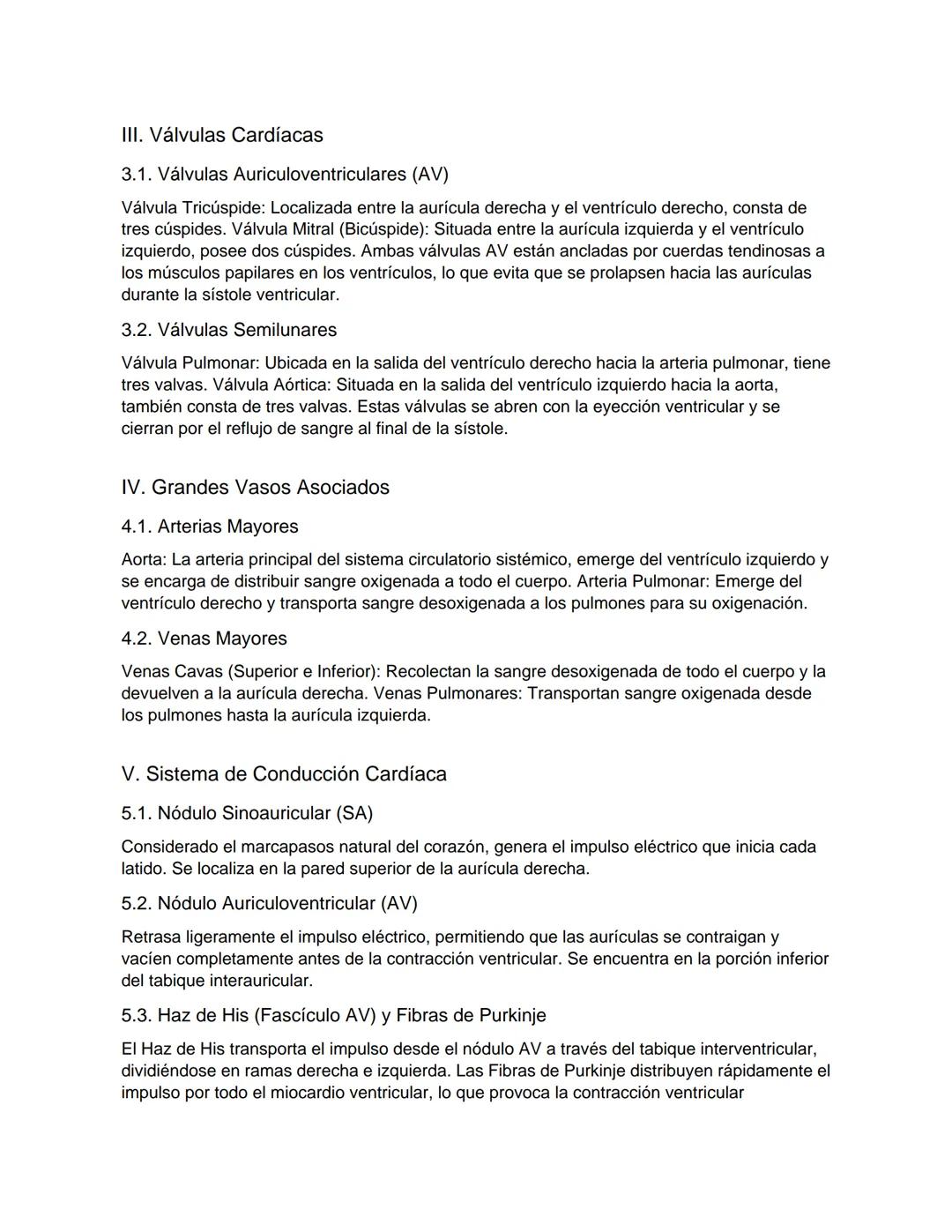 # Anatomía y Fisiología del Corazón
Este documento explora la compleja estructura y función del corazón humano, un órgano vital
cuyo entend
