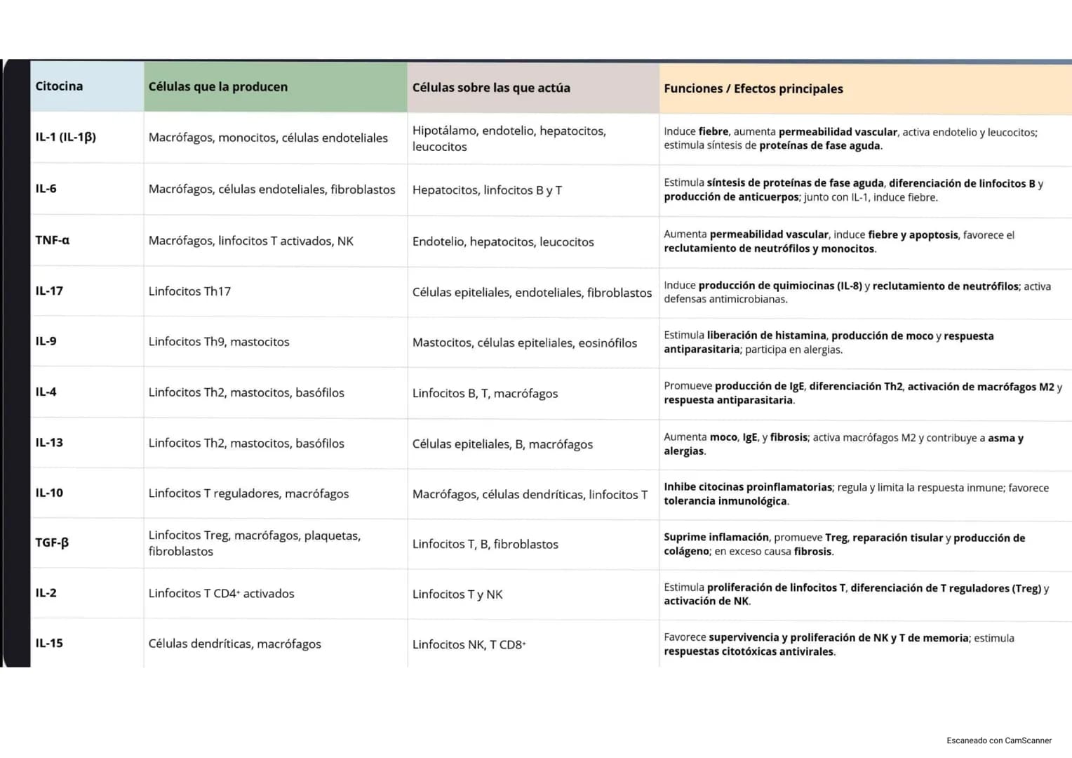 Citocina
Células que la producen
Células sobre las que actúa
Funciones / Efectos principales
IL-1 (IL-13)
Macrófagos, monocitos, células end