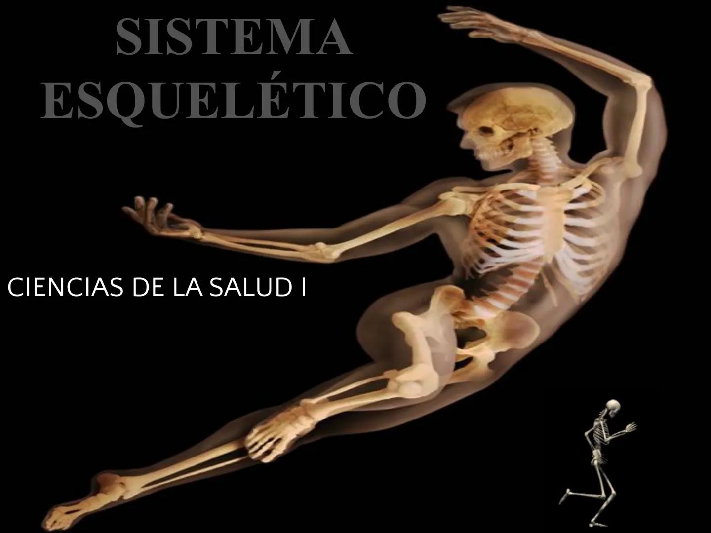 # SISTEMA
ESQUELÉTICO
CIENCIAS DE LA SALUD I # Generalidades
* El sistema esquelético humano está
compuesto por tejido conjuntivo
especi