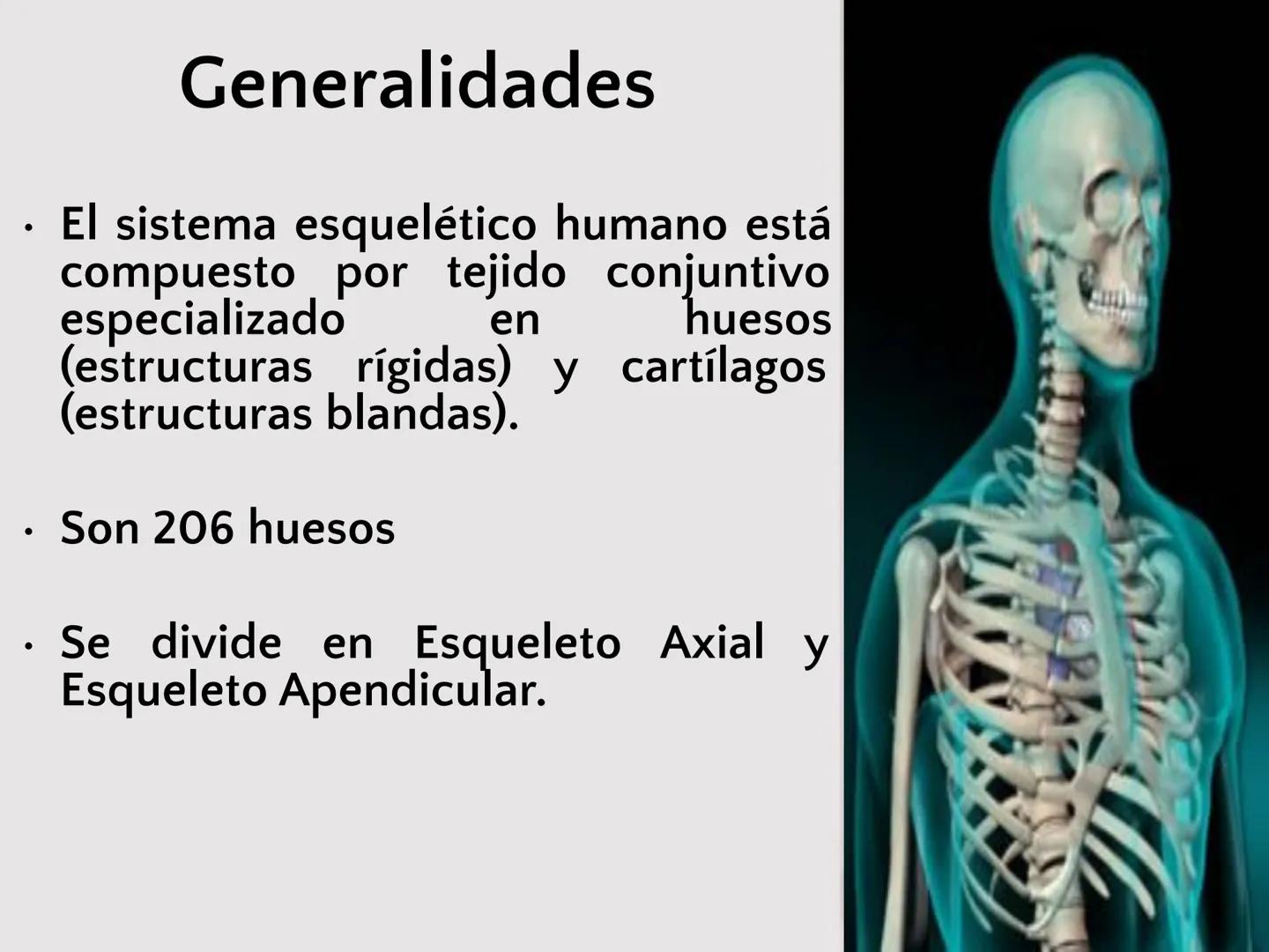 # SISTEMA
ESQUELÉTICO
CIENCIAS DE LA SALUD I # Generalidades
* El sistema esquelético humano está
compuesto por tejido conjuntivo
especi