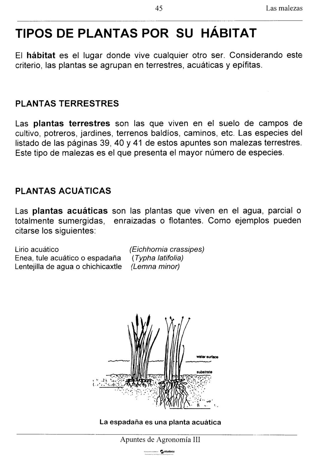 Las malezas
UNIDAD II: LAS MALEZAS
Ignacio Enrique Vivas Enríquez*
Pedro Carrillo Eligio*
Mardonio García Pineda*
Crispín Cortés Flores*