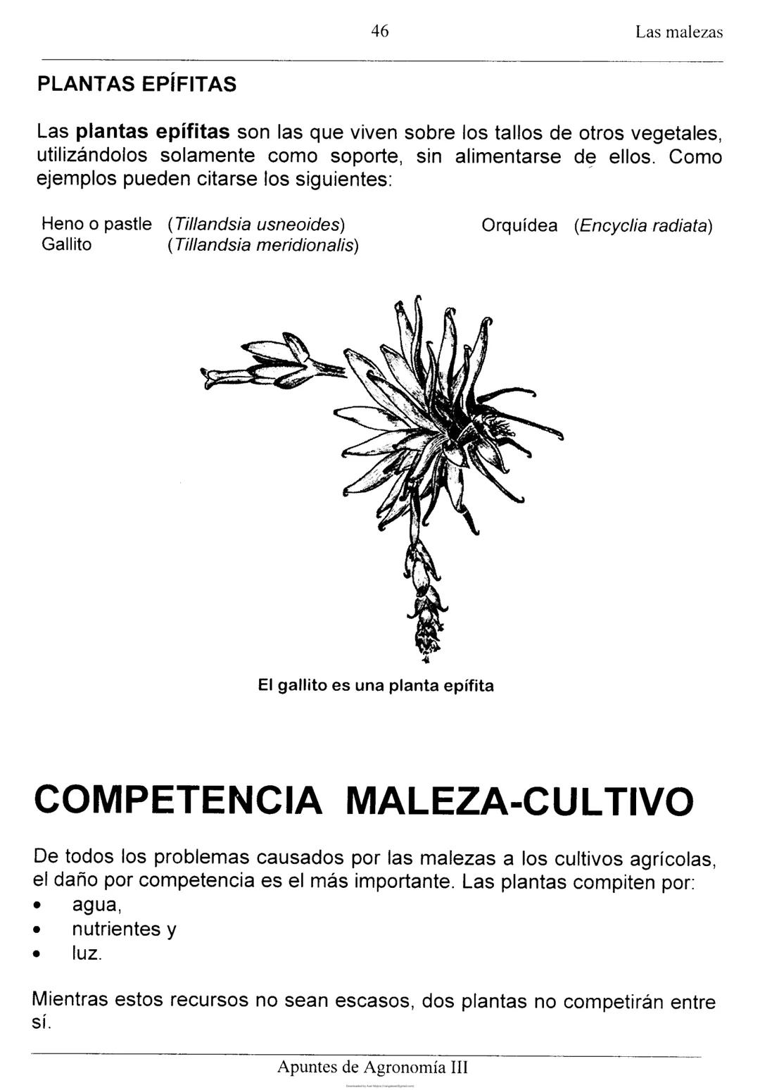 Las malezas
UNIDAD II: LAS MALEZAS
Ignacio Enrique Vivas Enríquez*
Pedro Carrillo Eligio*
Mardonio García Pineda*
Crispín Cortés Flores*
