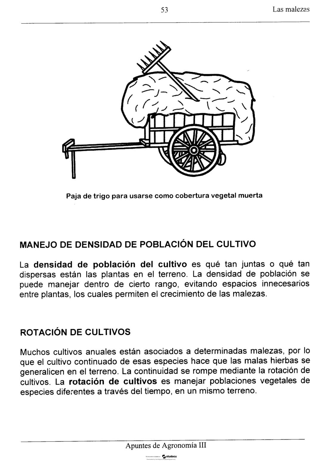 Las malezas
UNIDAD II: LAS MALEZAS
Ignacio Enrique Vivas Enríquez*
Pedro Carrillo Eligio*
Mardonio García Pineda*
Crispín Cortés Flores*