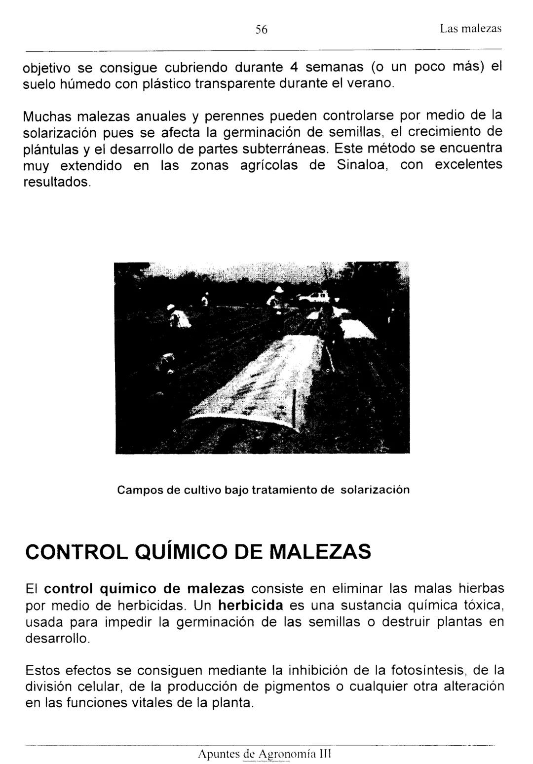 Las malezas
UNIDAD II: LAS MALEZAS
Ignacio Enrique Vivas Enríquez*
Pedro Carrillo Eligio*
Mardonio García Pineda*
Crispín Cortés Flores*
