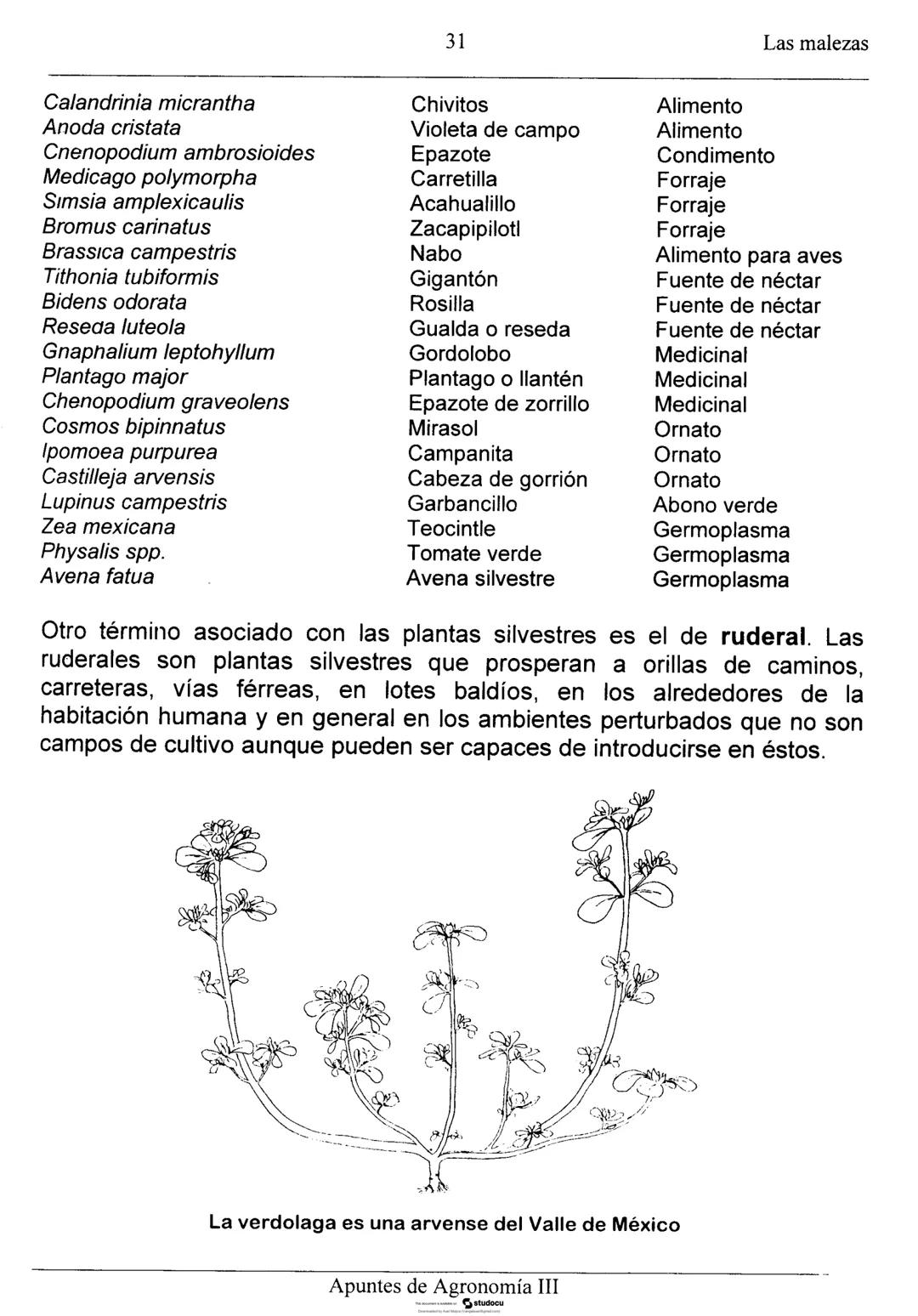 Las malezas
UNIDAD II: LAS MALEZAS
Ignacio Enrique Vivas Enríquez*
Pedro Carrillo Eligio*
Mardonio García Pineda*
Crispín Cortés Flores*