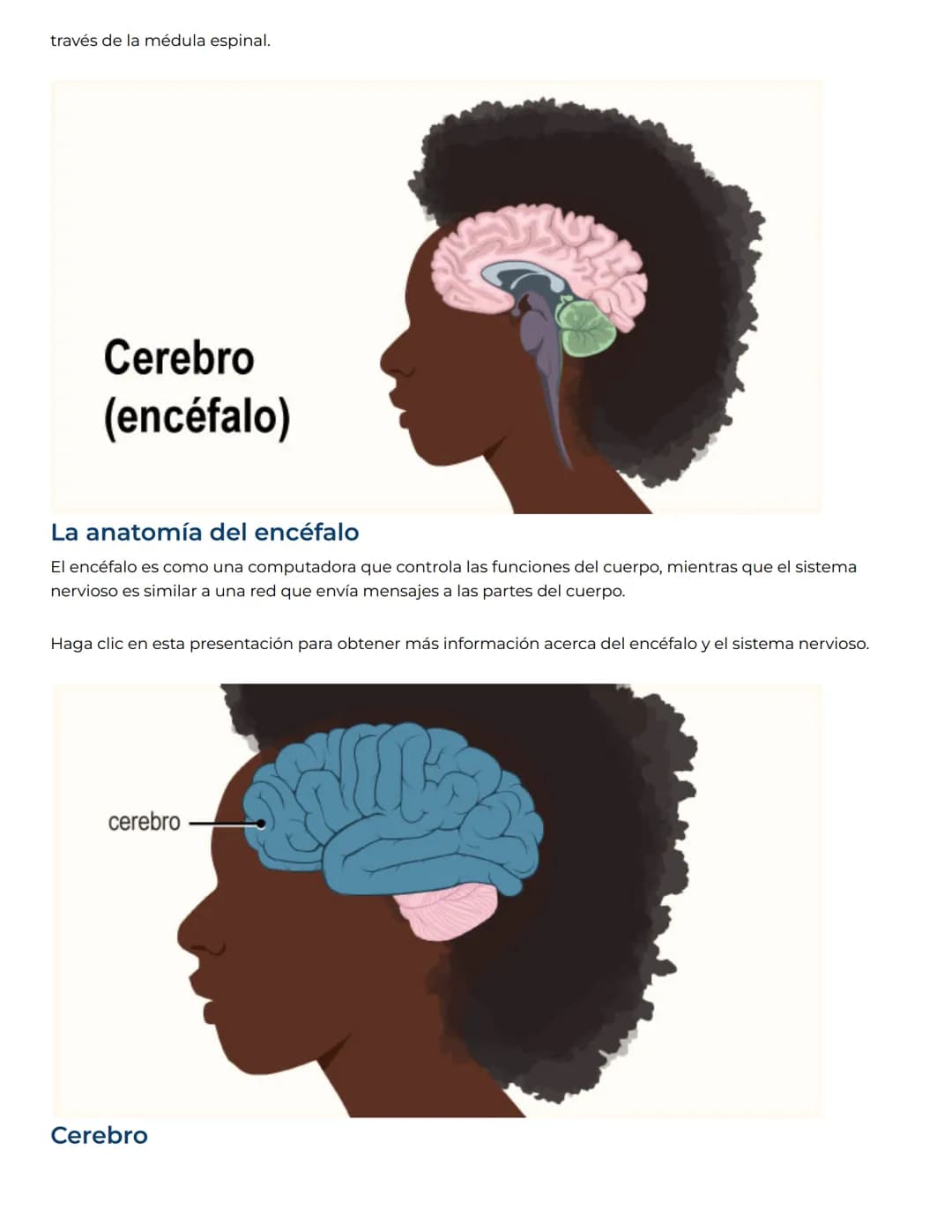 NEMOURS
KidsHealth
Nemours KidsHealth
Dedicado a la salud y el desarrollo de los niños.
Obtenga más información en KidsHealth.org
# Sistem