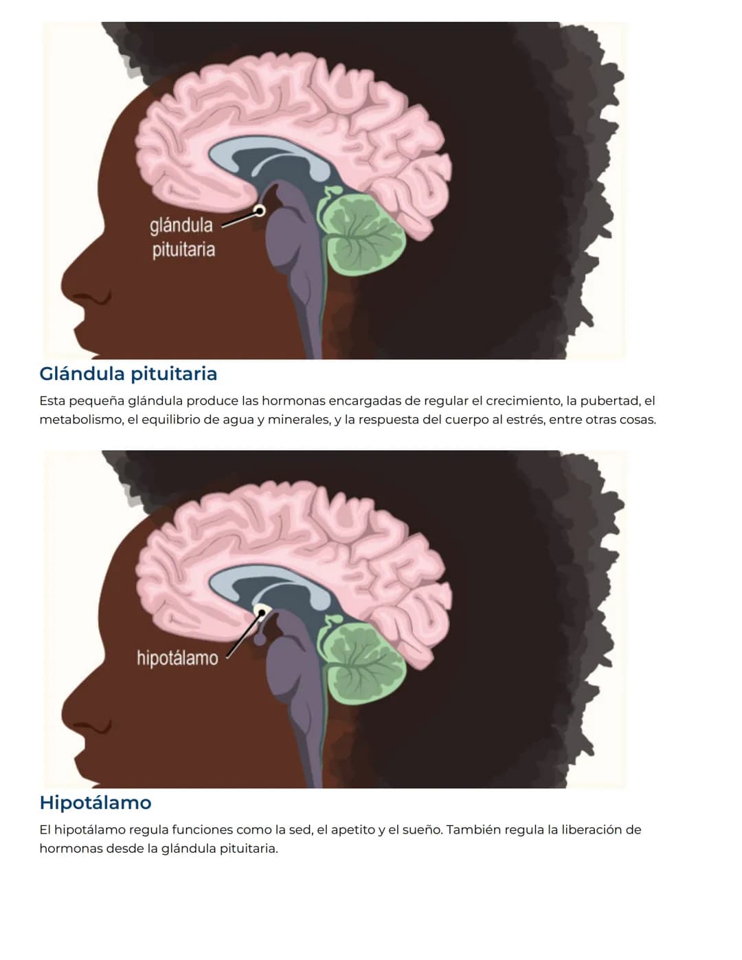 NEMOURS
KidsHealth
Nemours KidsHealth
Dedicado a la salud y el desarrollo de los niños.
Obtenga más información en KidsHealth.org
# Sistem