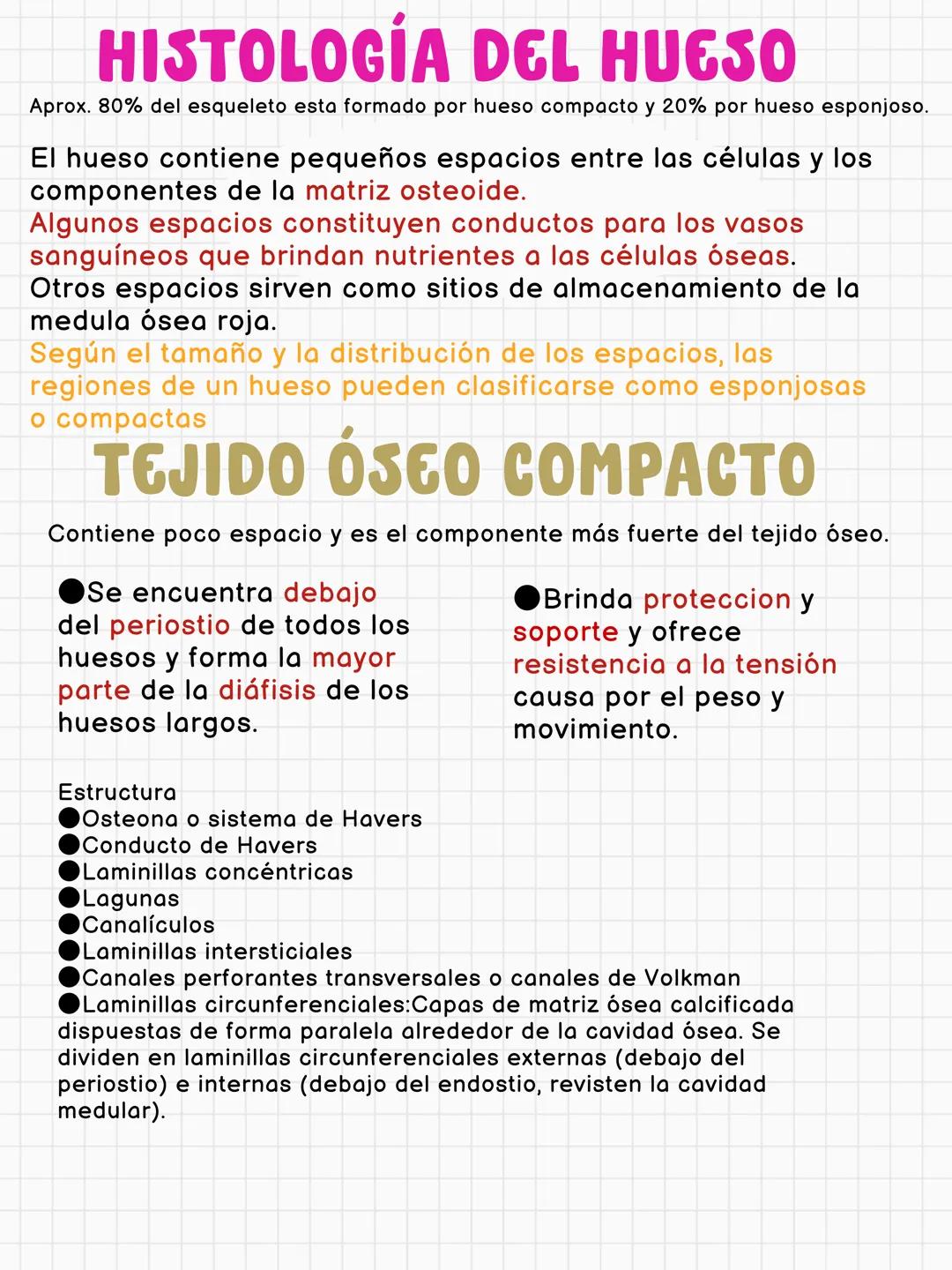 # FUNCIONES DEL HUESO
constituye aproximadamente el 18% del peso corporal
Sostén
Protección
Calc
Phosphorus
Homeostasis mineral
Asist