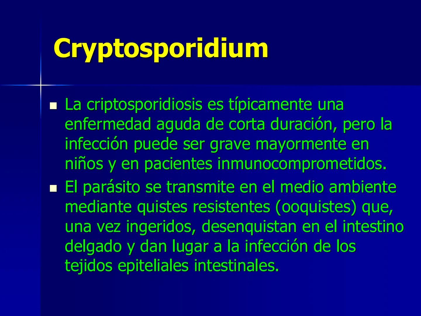 # Protozoarios
100 μm # Protozoarios
■ Son unicelulares pertenecientes al Reino Protista,
subreino Protozoa.
* Eucariotas, microscopico