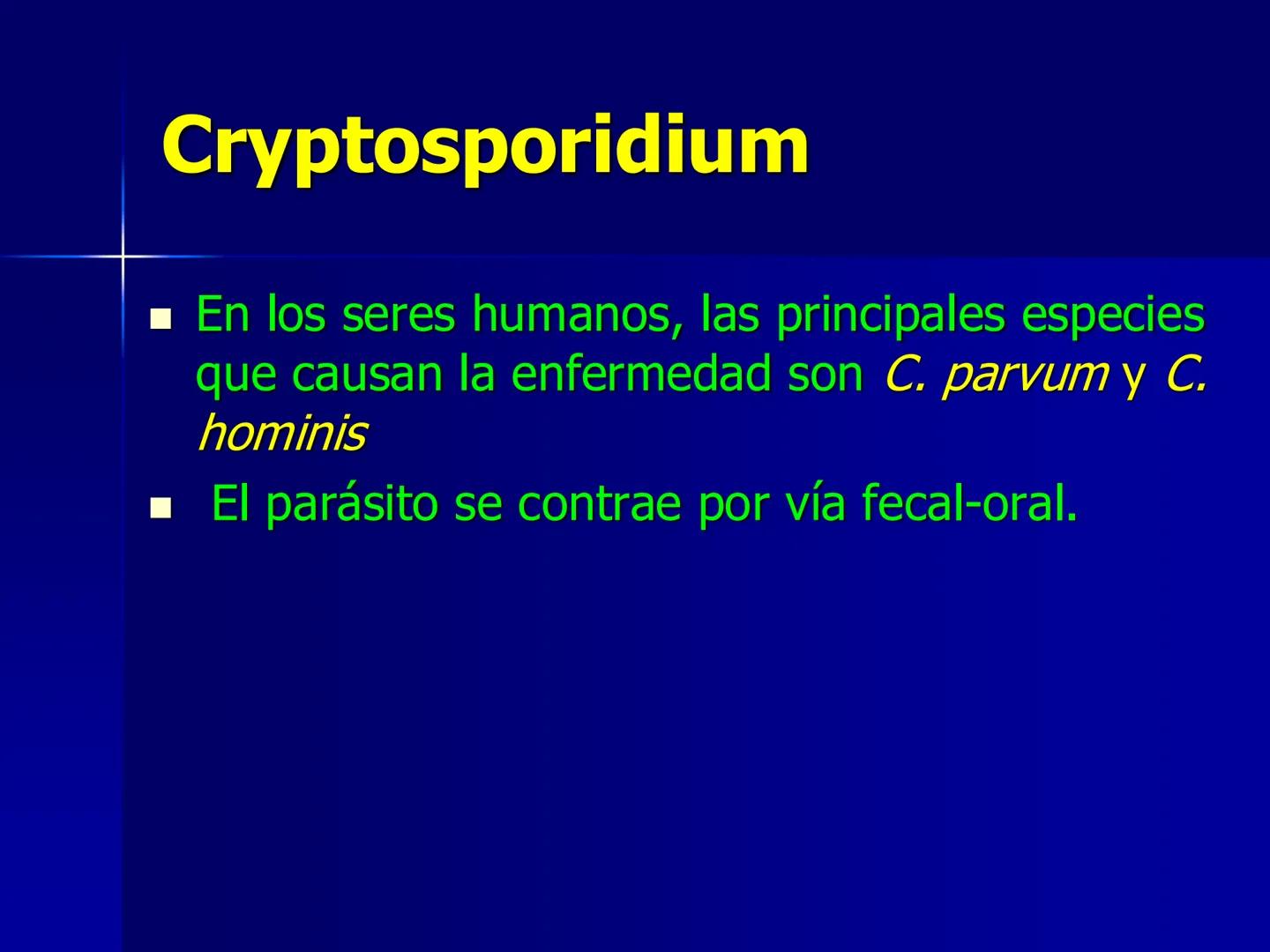 # Protozoarios
100 μm # Protozoarios
■ Son unicelulares pertenecientes al Reino Protista,
subreino Protozoa.
* Eucariotas, microscopico