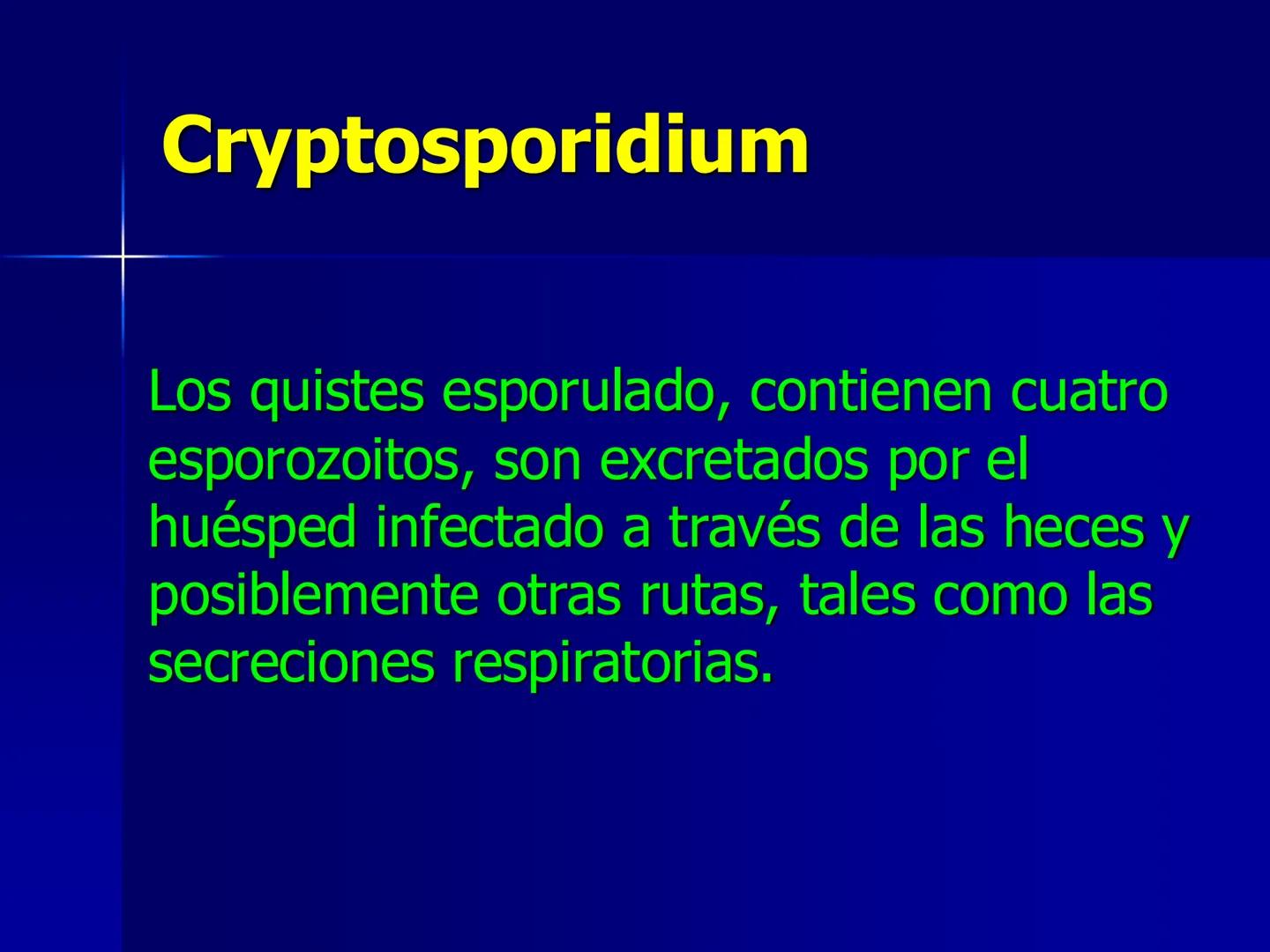 # Protozoarios
100 μm # Protozoarios
■ Son unicelulares pertenecientes al Reino Protista,
subreino Protozoa.
* Eucariotas, microscopico