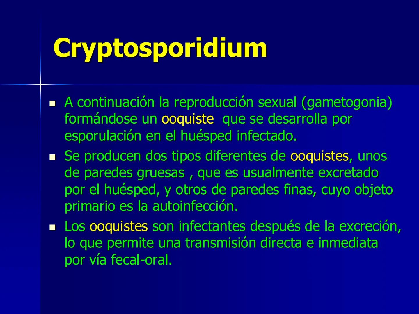 # Protozoarios
100 μm # Protozoarios
■ Son unicelulares pertenecientes al Reino Protista,
subreino Protozoa.
* Eucariotas, microscopico