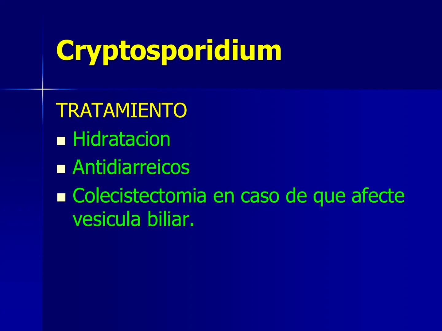 # Protozoarios
100 μm # Protozoarios
■ Son unicelulares pertenecientes al Reino Protista,
subreino Protozoa.
* Eucariotas, microscopico