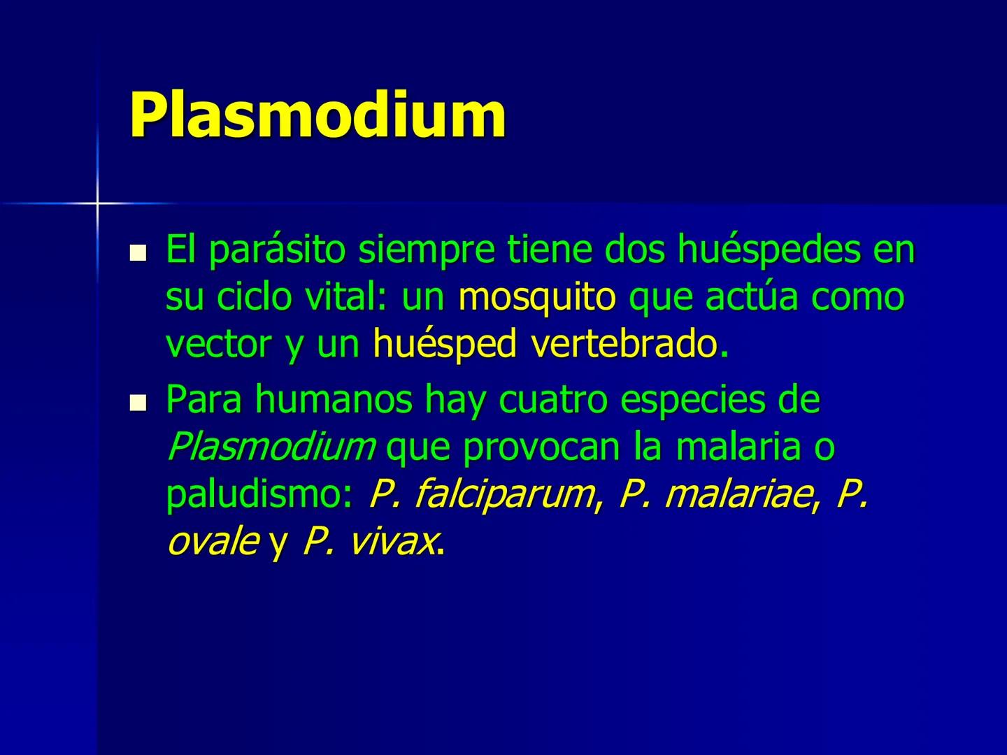 # Protozoarios
100 μm # Protozoarios
■ Son unicelulares pertenecientes al Reino Protista,
subreino Protozoa.
* Eucariotas, microscopico