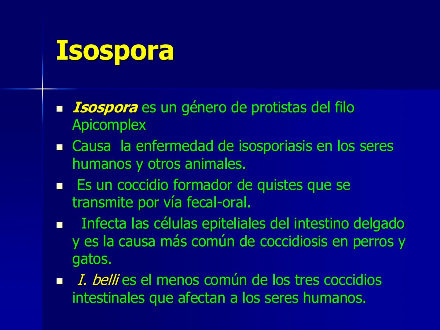 # Protozoarios
100 μm # Protozoarios
■ Son unicelulares pertenecientes al Reino Protista,
subreino Protozoa.
* Eucariotas, microscopico