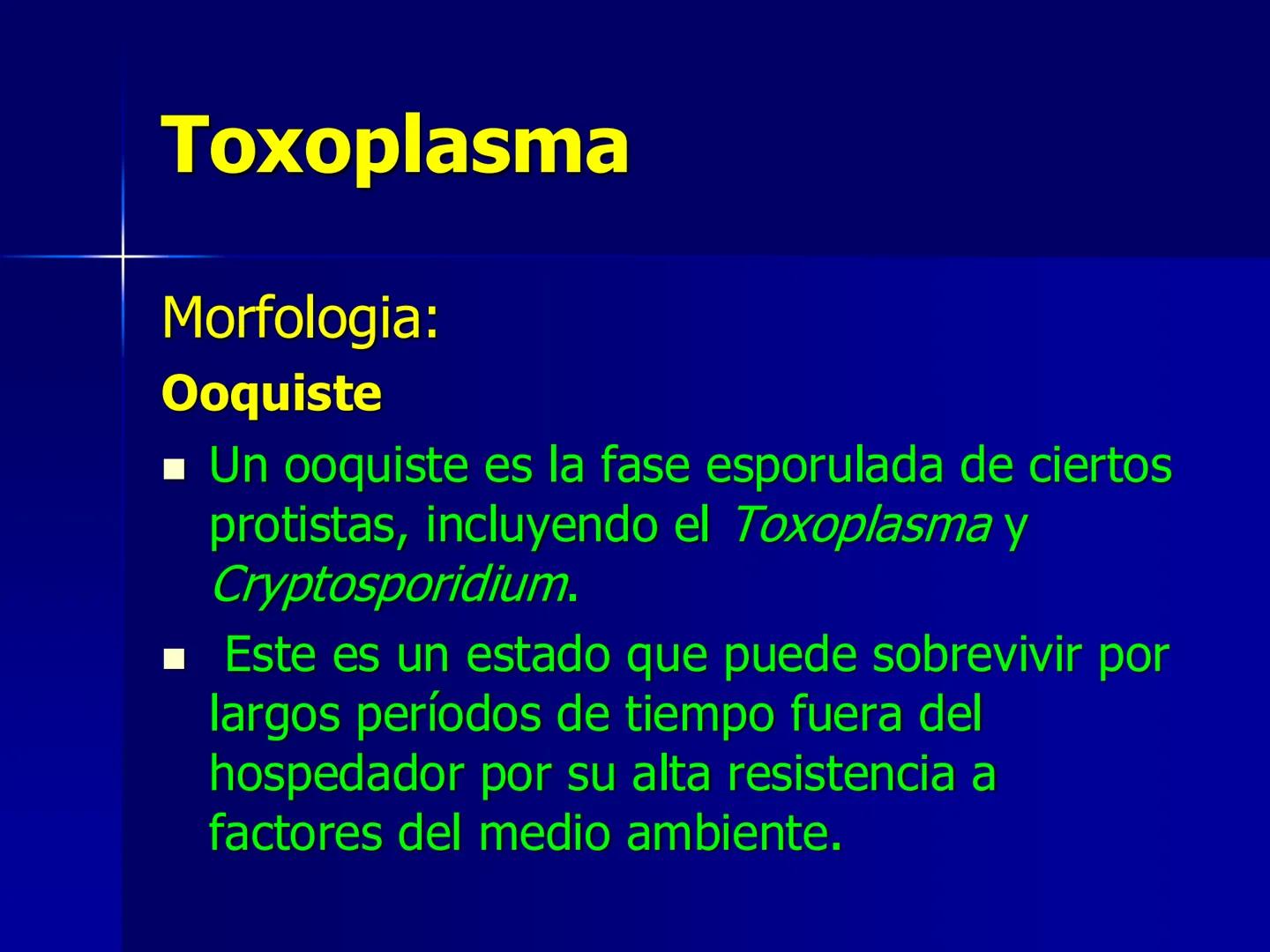 # Protozoarios
100 μm # Protozoarios
■ Son unicelulares pertenecientes al Reino Protista,
subreino Protozoa.
* Eucariotas, microscopico