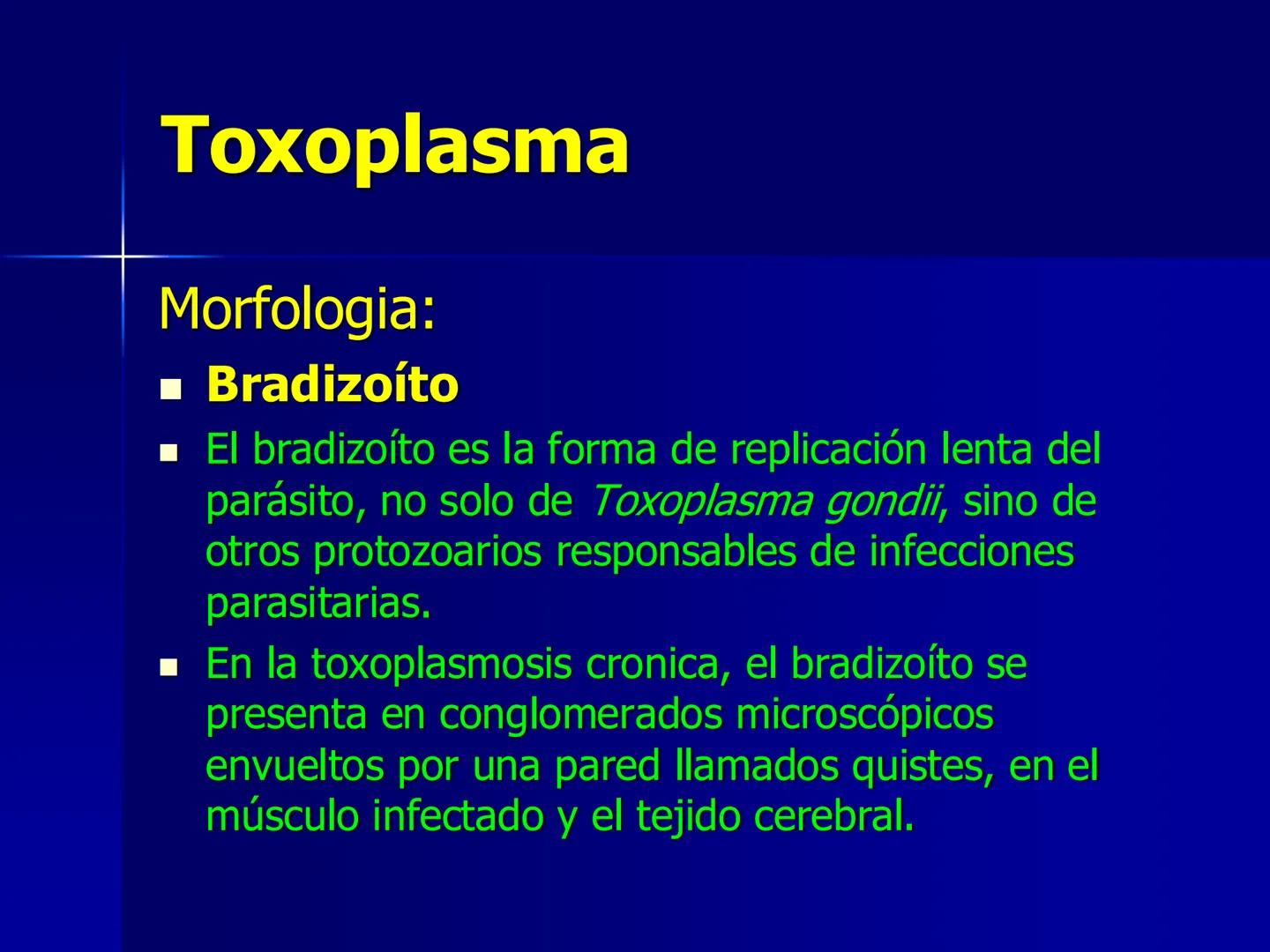 # Protozoarios
100 μm # Protozoarios
■ Son unicelulares pertenecientes al Reino Protista,
subreino Protozoa.
* Eucariotas, microscopico