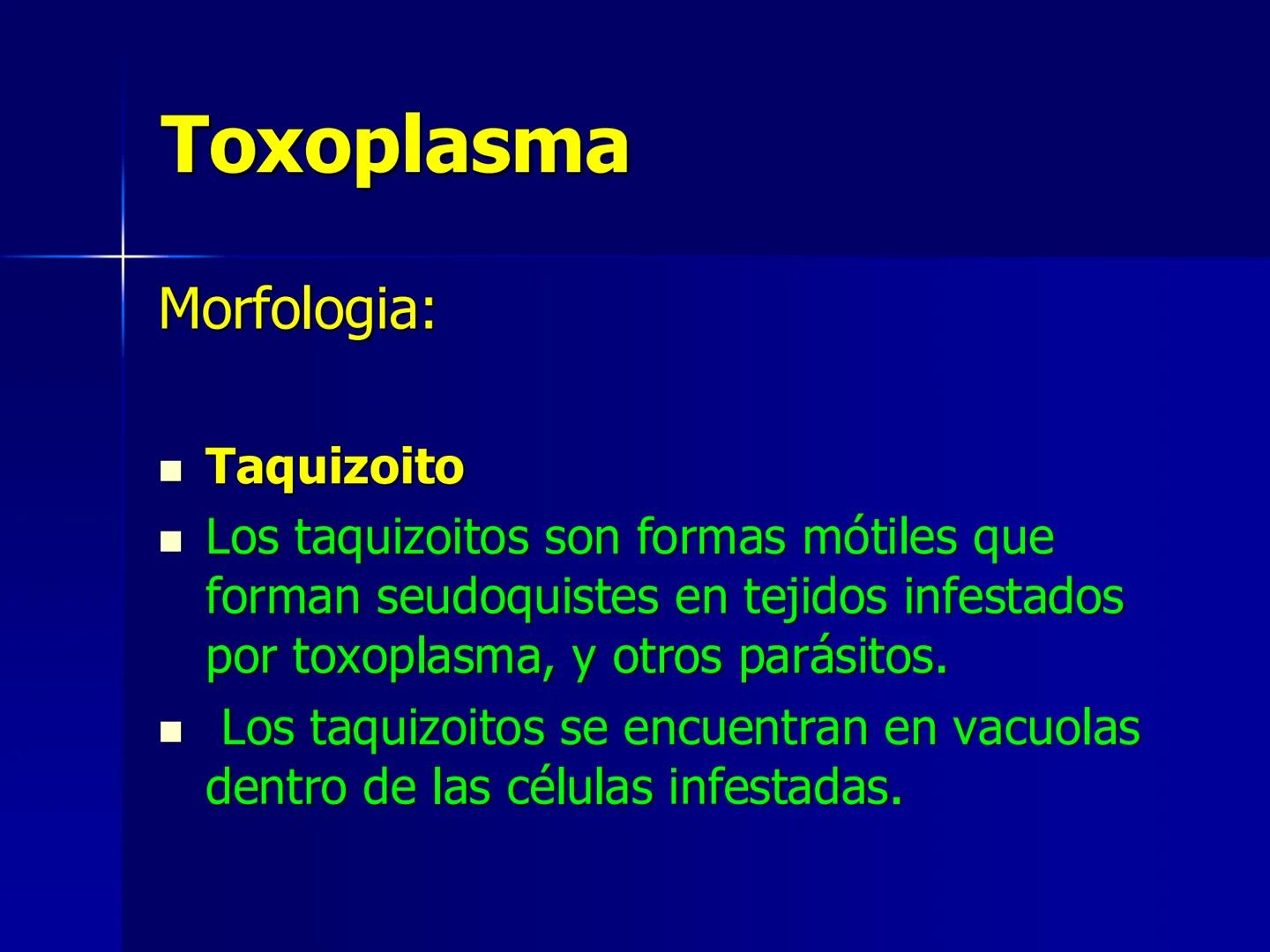 # Protozoarios
100 μm # Protozoarios
■ Son unicelulares pertenecientes al Reino Protista,
subreino Protozoa.
* Eucariotas, microscopico