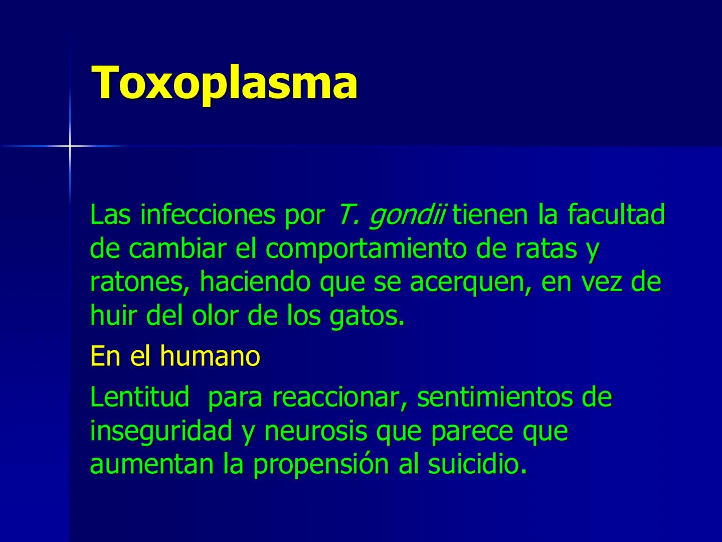 # Protozoarios
100 μm # Protozoarios
■ Son unicelulares pertenecientes al Reino Protista,
subreino Protozoa.
* Eucariotas, microscopico