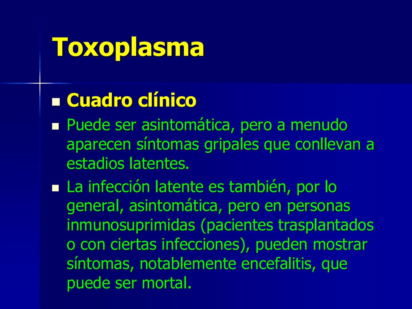 # Protozoarios
100 μm # Protozoarios
■ Son unicelulares pertenecientes al Reino Protista,
subreino Protozoa.
* Eucariotas, microscopico