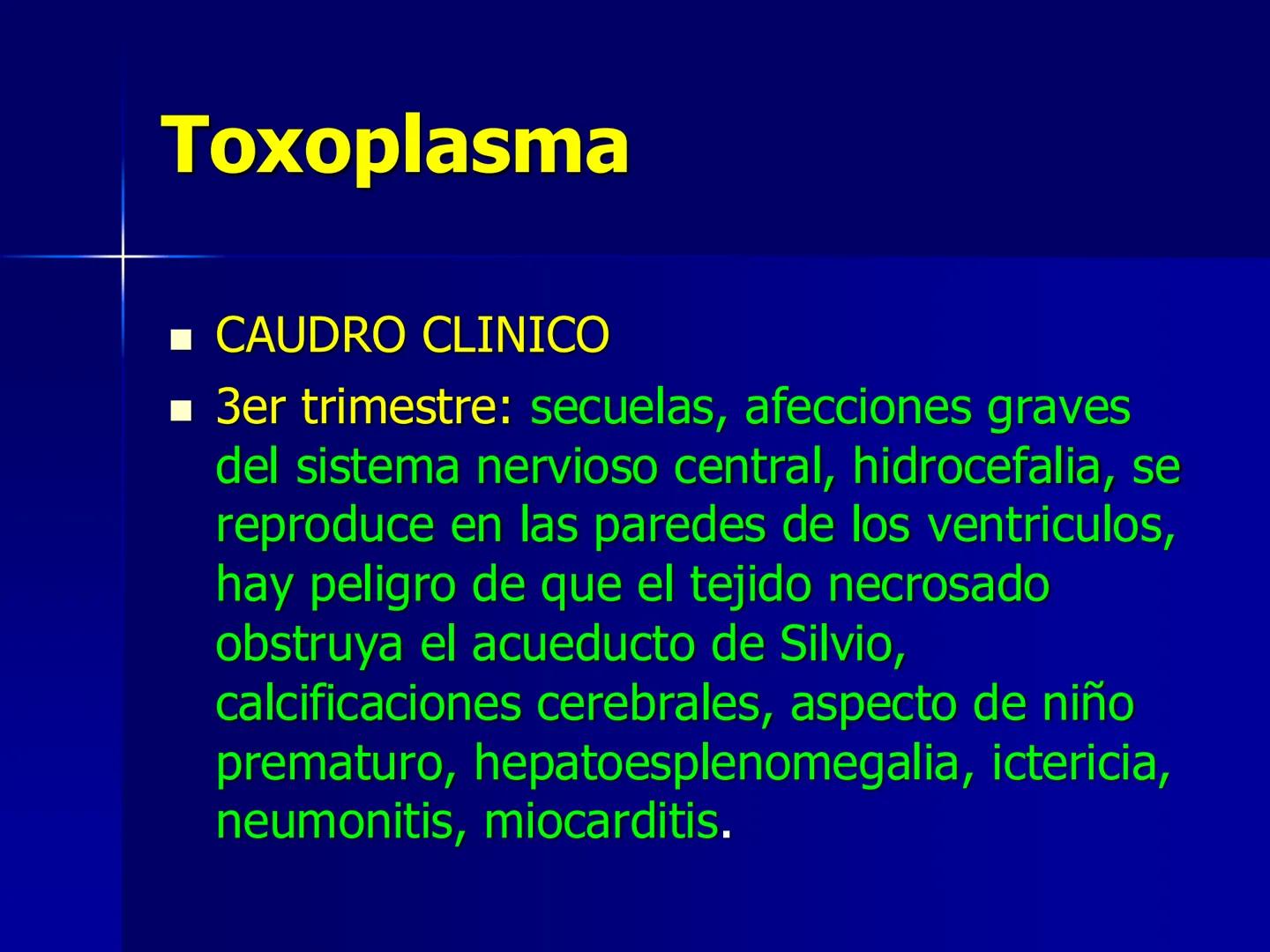 # Protozoarios
100 μm # Protozoarios
■ Son unicelulares pertenecientes al Reino Protista,
subreino Protozoa.
* Eucariotas, microscopico