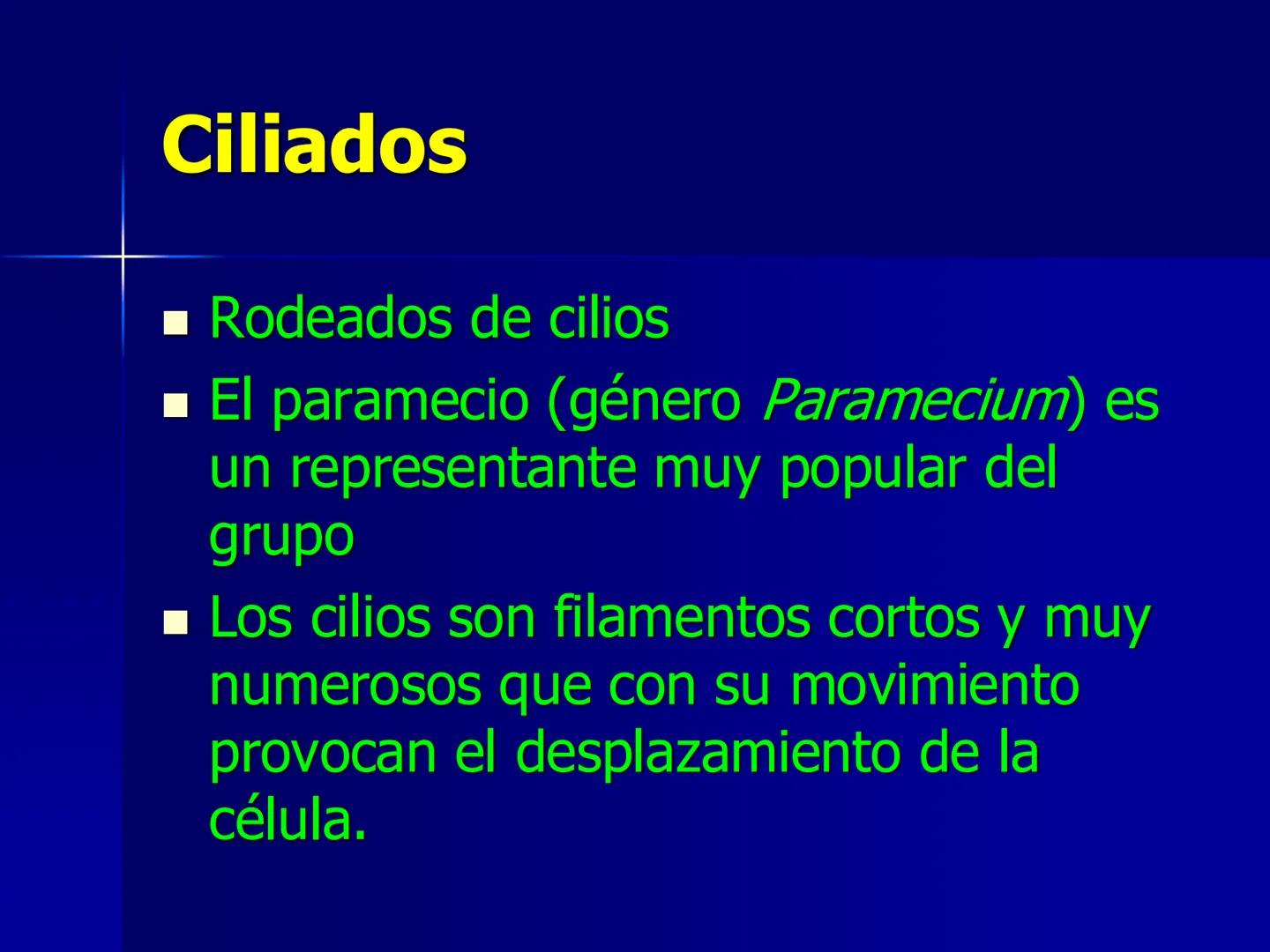 # Protozoarios
100 μm # Protozoarios
■ Son unicelulares pertenecientes al Reino Protista,
subreino Protozoa.
* Eucariotas, microscopico