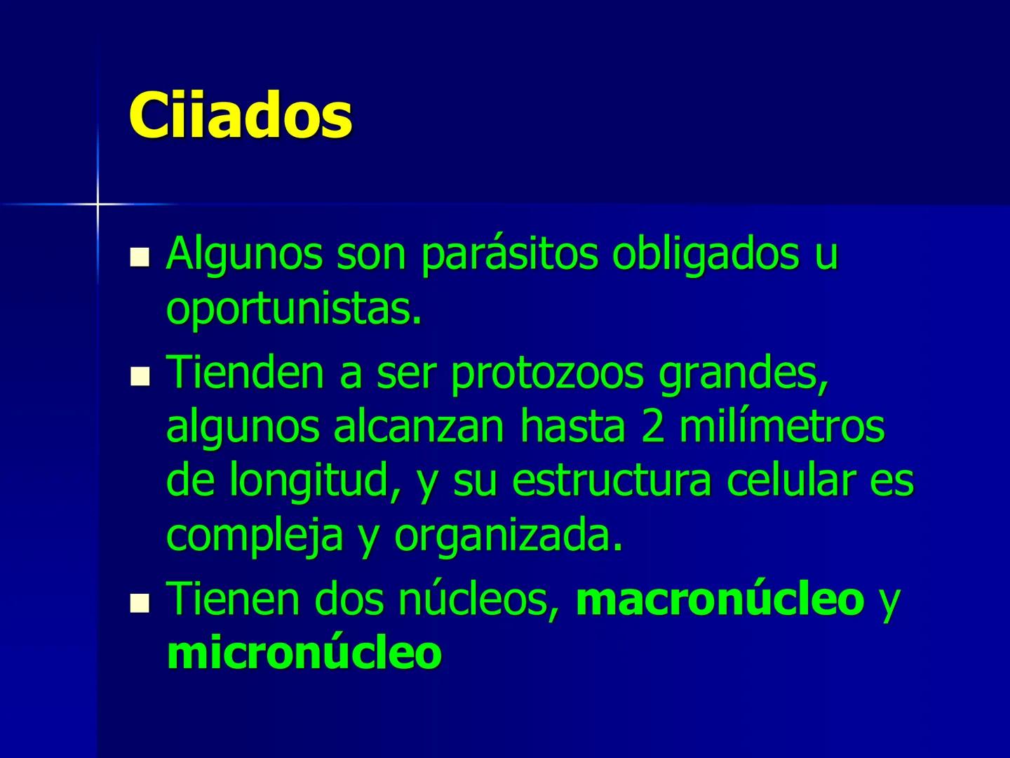 # Protozoarios
100 μm # Protozoarios
■ Son unicelulares pertenecientes al Reino Protista,
subreino Protozoa.
* Eucariotas, microscopico