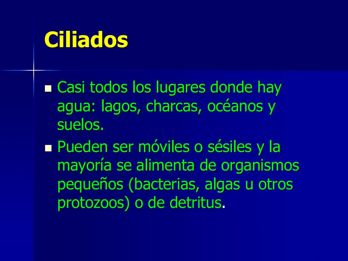 # Protozoarios
100 μm # Protozoarios
■ Son unicelulares pertenecientes al Reino Protista,
subreino Protozoa.
* Eucariotas, microscopico