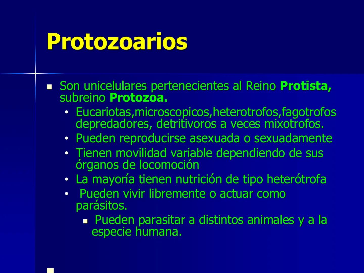 # Protozoarios
100 μm # Protozoarios
■ Son unicelulares pertenecientes al Reino Protista,
subreino Protozoa.
* Eucariotas, microscopico