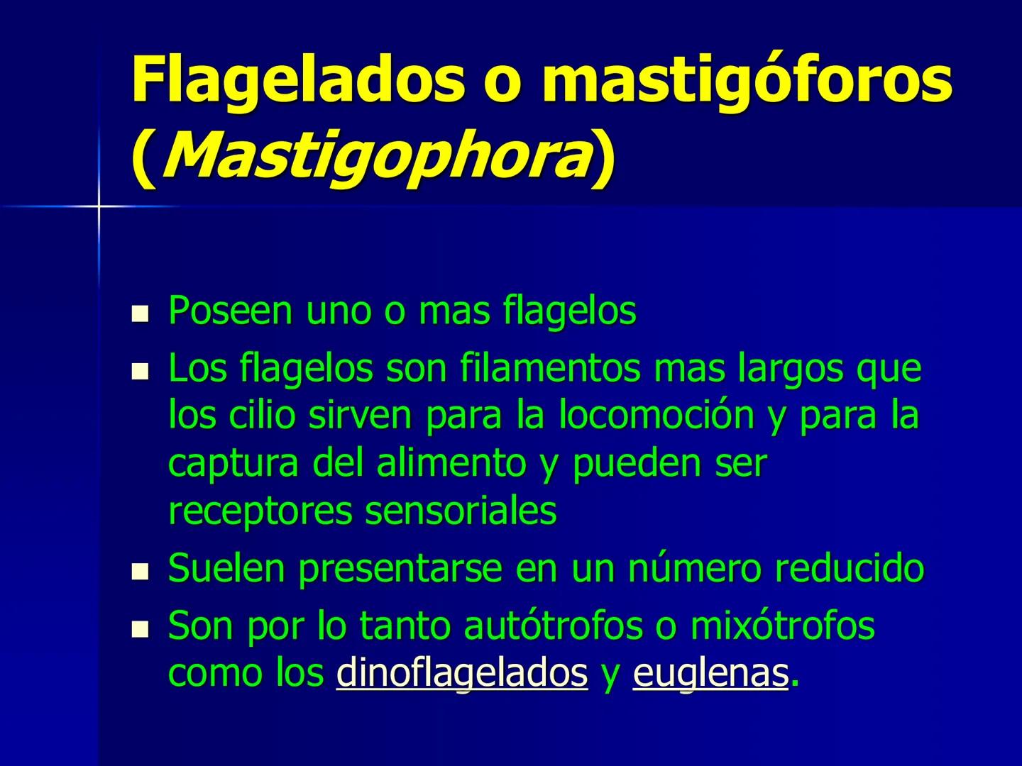 # Protozoarios
100 μm # Protozoarios
■ Son unicelulares pertenecientes al Reino Protista,
subreino Protozoa.
* Eucariotas, microscopico