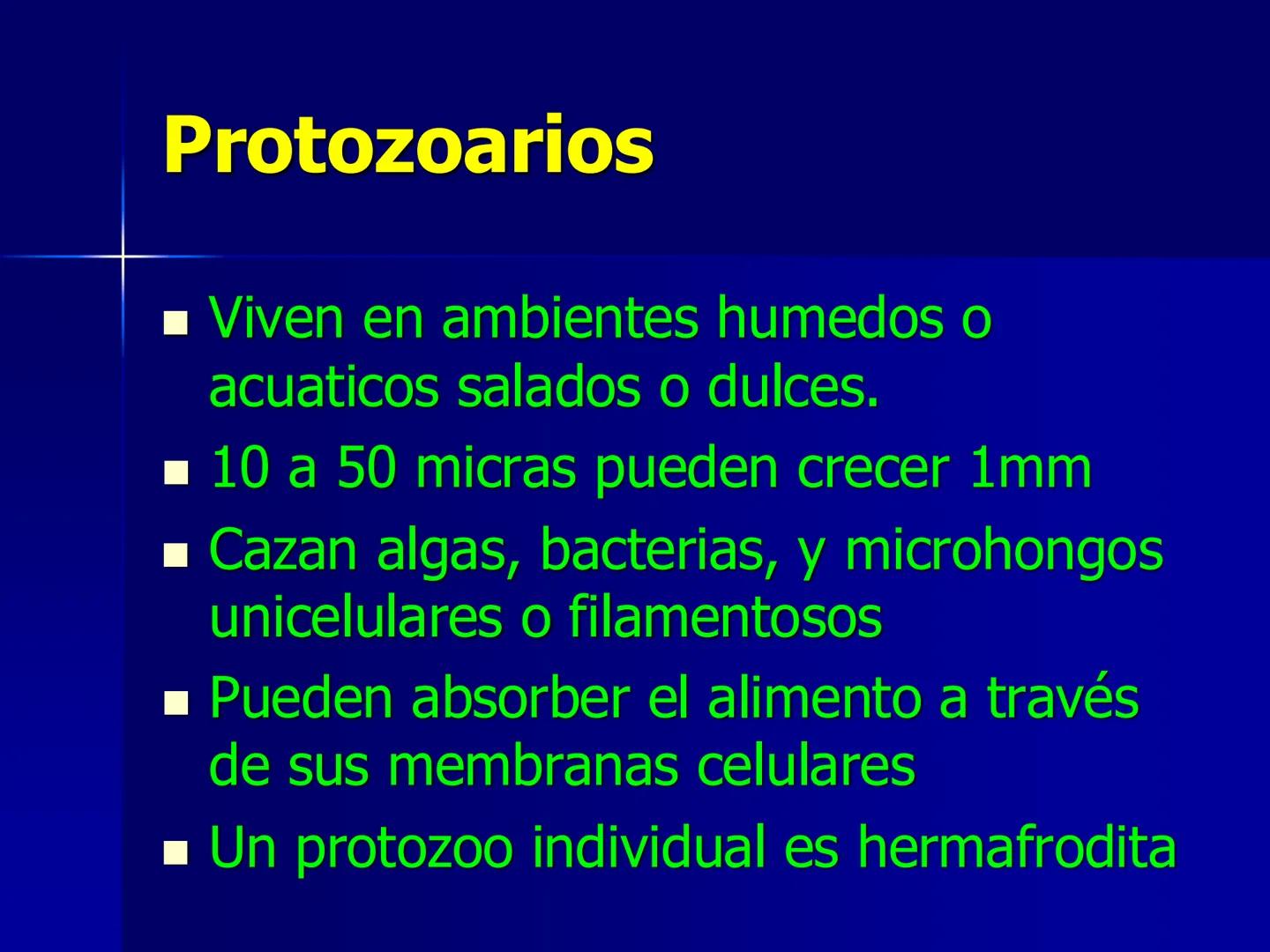 # Protozoarios
100 μm # Protozoarios
■ Son unicelulares pertenecientes al Reino Protista,
subreino Protozoa.
* Eucariotas, microscopico