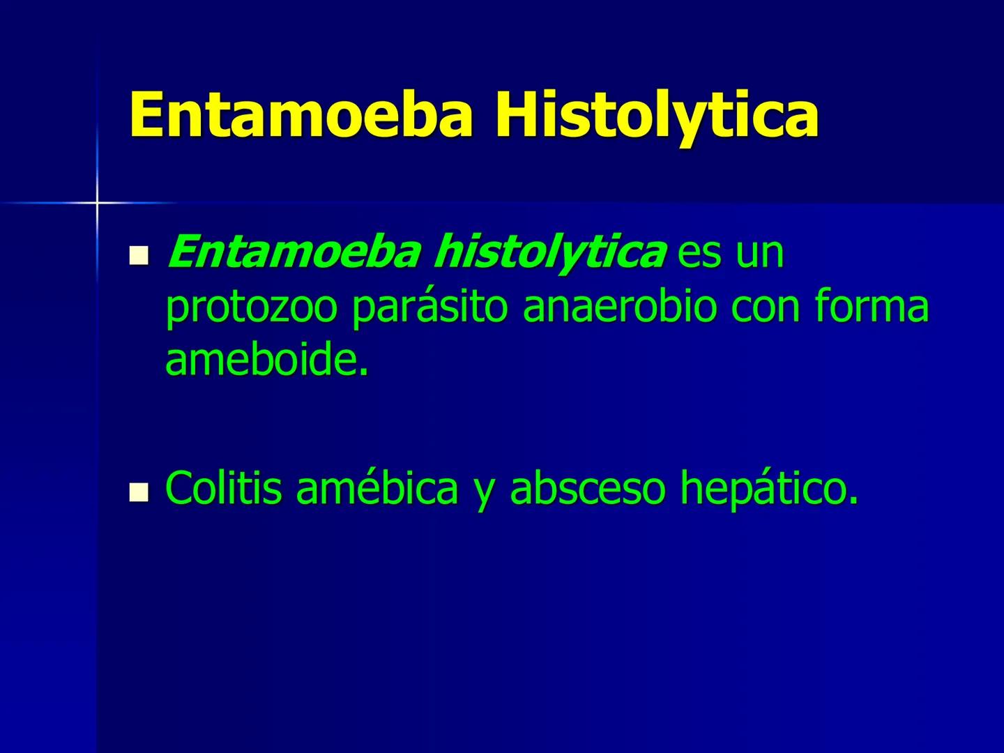 # Protozoarios
100 μm # Protozoarios
■ Son unicelulares pertenecientes al Reino Protista,
subreino Protozoa.
* Eucariotas, microscopico