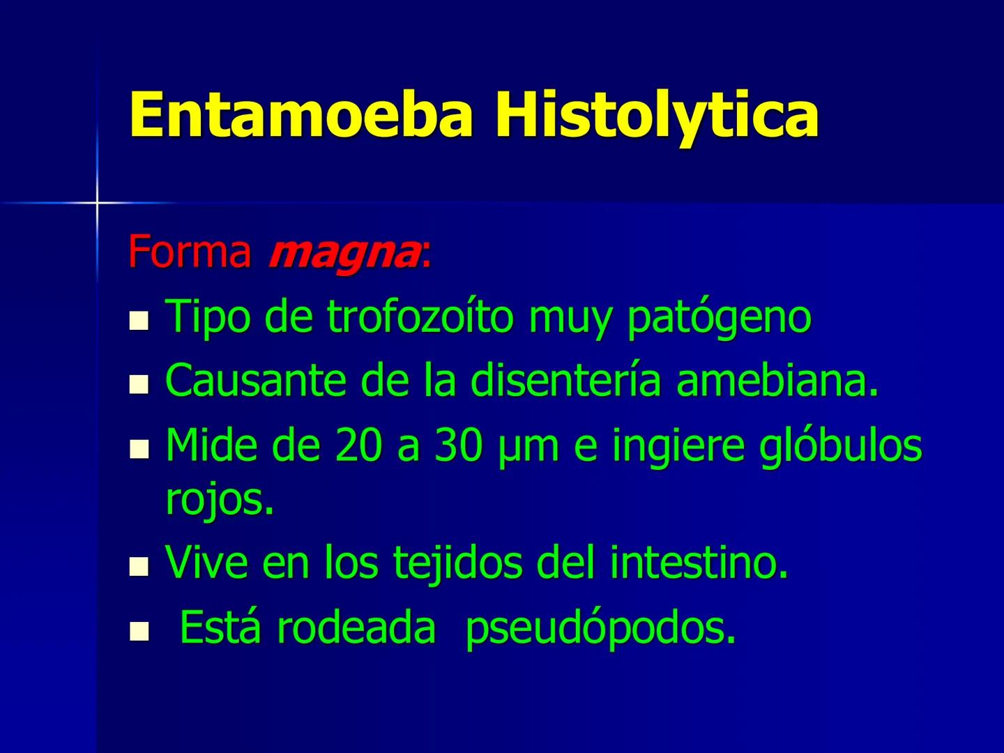# Protozoarios
100 μm # Protozoarios
■ Son unicelulares pertenecientes al Reino Protista,
subreino Protozoa.
* Eucariotas, microscopico