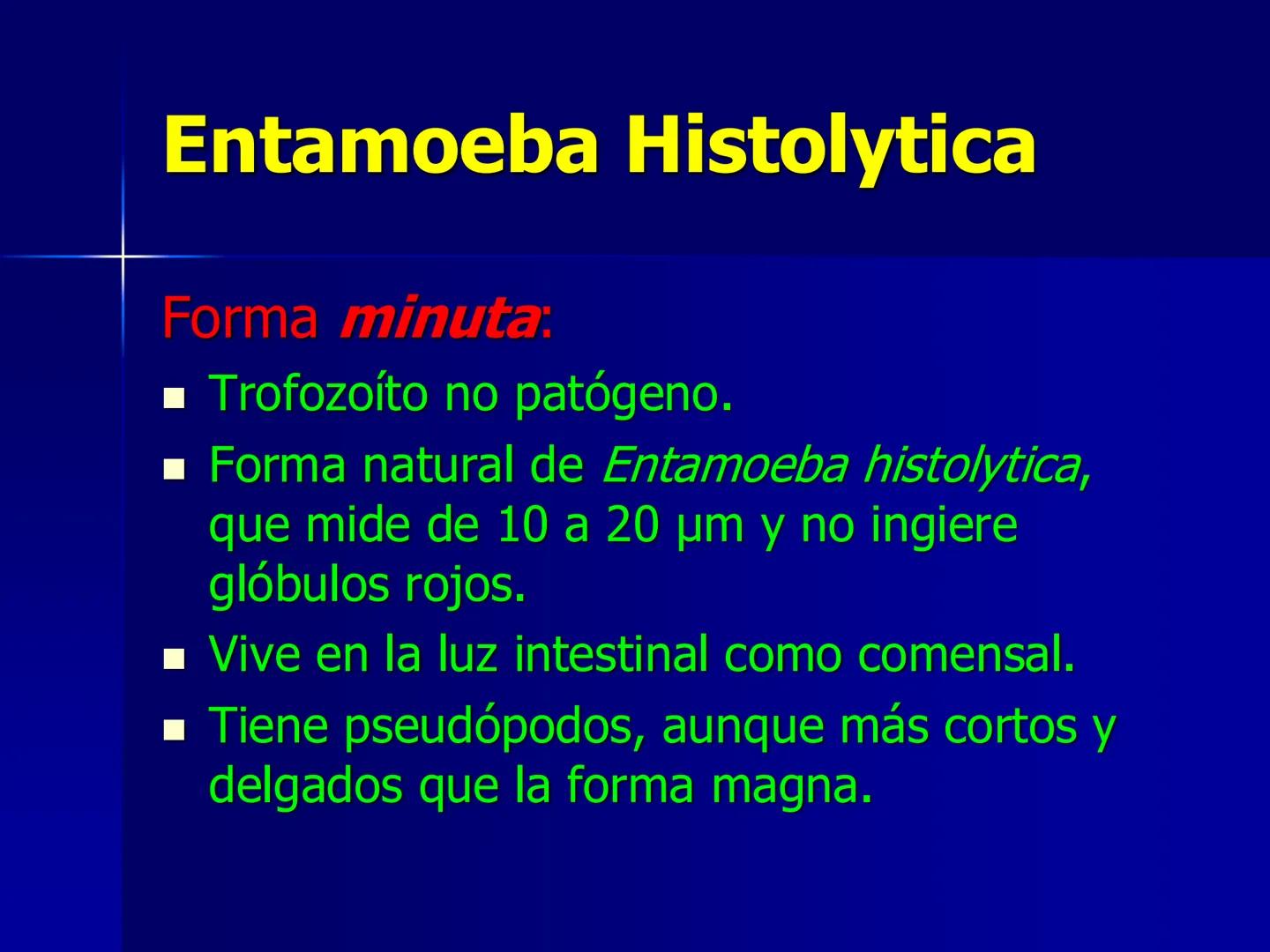 # Protozoarios
100 μm # Protozoarios
■ Son unicelulares pertenecientes al Reino Protista,
subreino Protozoa.
* Eucariotas, microscopico