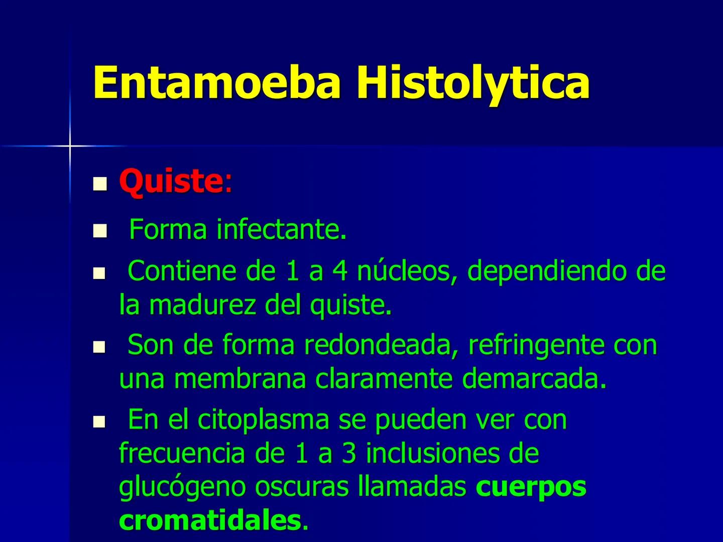 # Protozoarios
100 μm # Protozoarios
■ Son unicelulares pertenecientes al Reino Protista,
subreino Protozoa.
* Eucariotas, microscopico