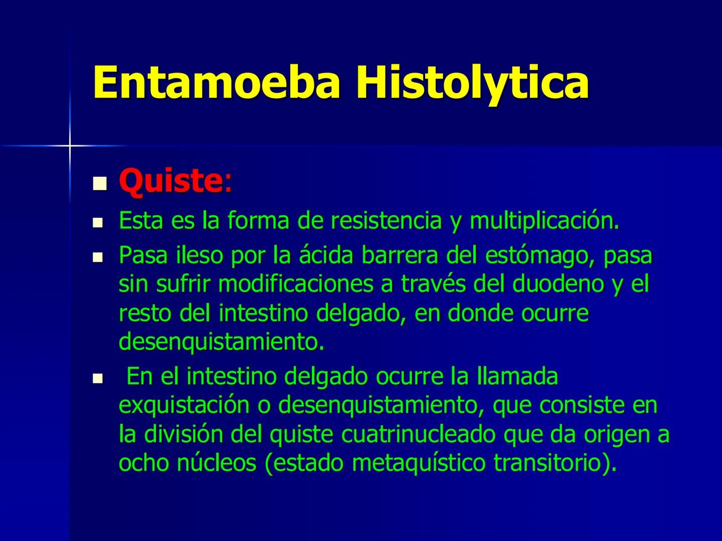 # Protozoarios
100 μm # Protozoarios
■ Son unicelulares pertenecientes al Reino Protista,
subreino Protozoa.
* Eucariotas, microscopico