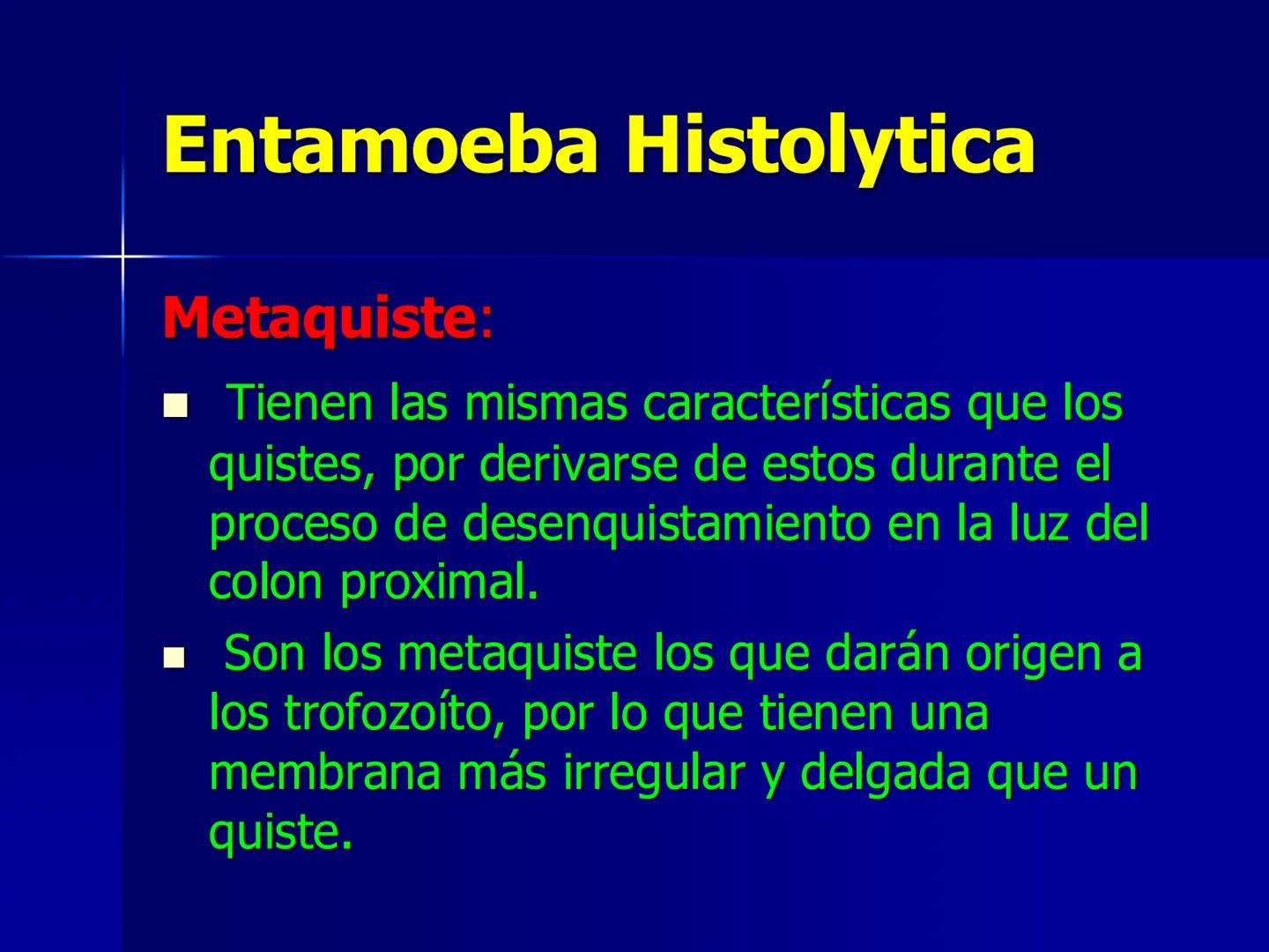 # Protozoarios
100 μm # Protozoarios
■ Son unicelulares pertenecientes al Reino Protista,
subreino Protozoa.
* Eucariotas, microscopico