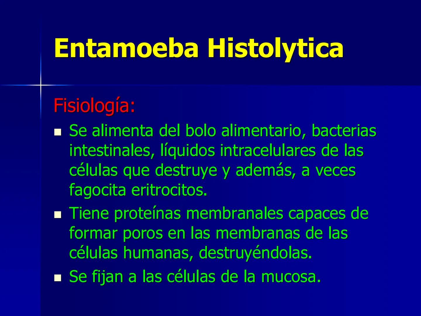 # Protozoarios
100 μm # Protozoarios
■ Son unicelulares pertenecientes al Reino Protista,
subreino Protozoa.
* Eucariotas, microscopico