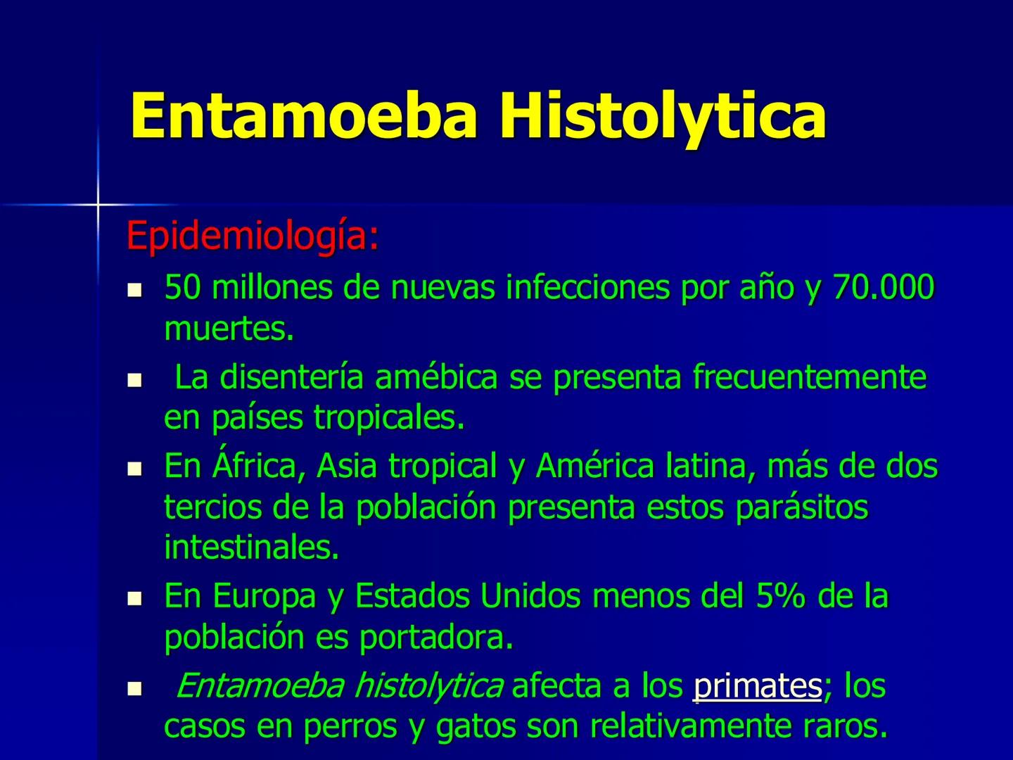 # Protozoarios
100 μm # Protozoarios
■ Son unicelulares pertenecientes al Reino Protista,
subreino Protozoa.
* Eucariotas, microscopico