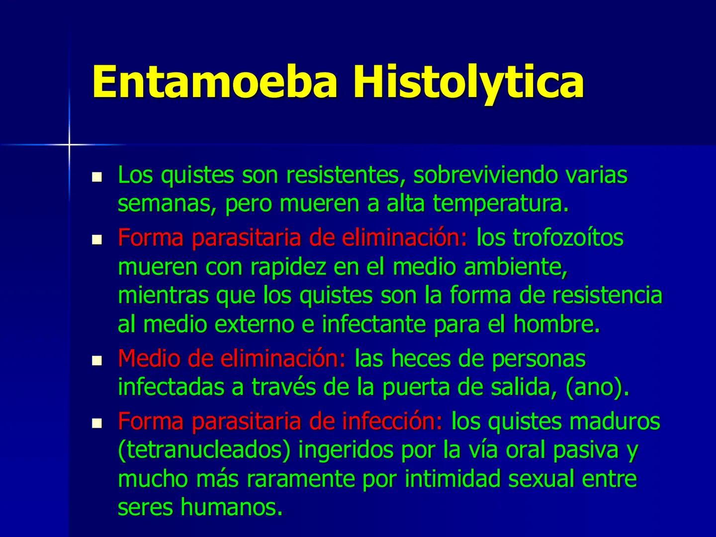 # Protozoarios
100 μm # Protozoarios
■ Son unicelulares pertenecientes al Reino Protista,
subreino Protozoa.
* Eucariotas, microscopico