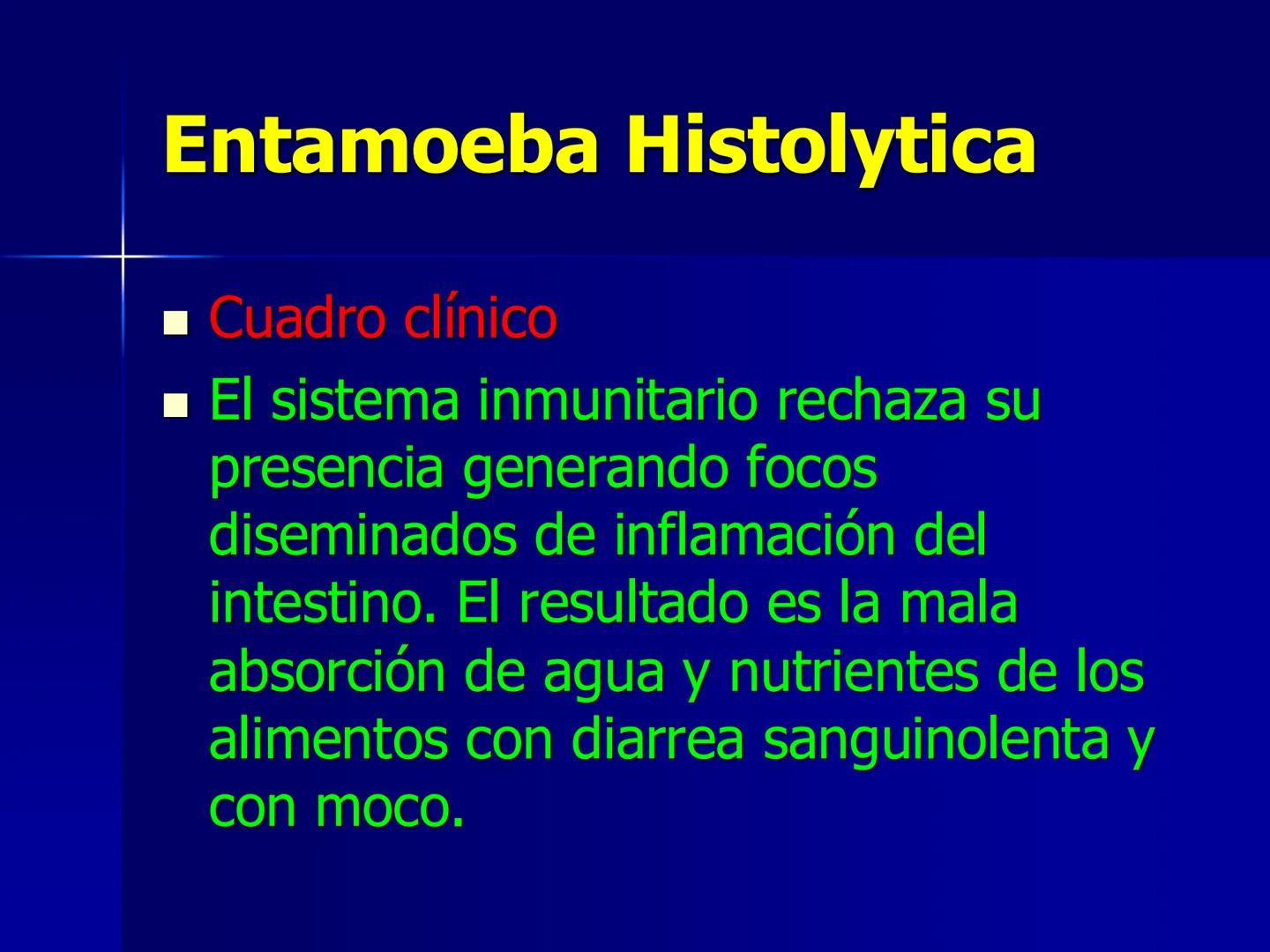 # Protozoarios
100 μm # Protozoarios
■ Son unicelulares pertenecientes al Reino Protista,
subreino Protozoa.
* Eucariotas, microscopico