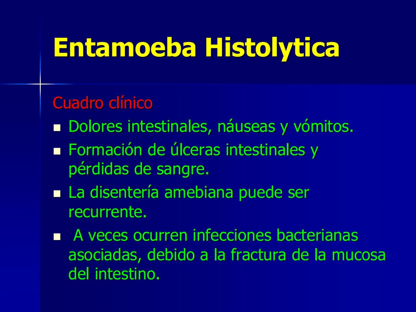 # Protozoarios
100 μm # Protozoarios
■ Son unicelulares pertenecientes al Reino Protista,
subreino Protozoa.
* Eucariotas, microscopico