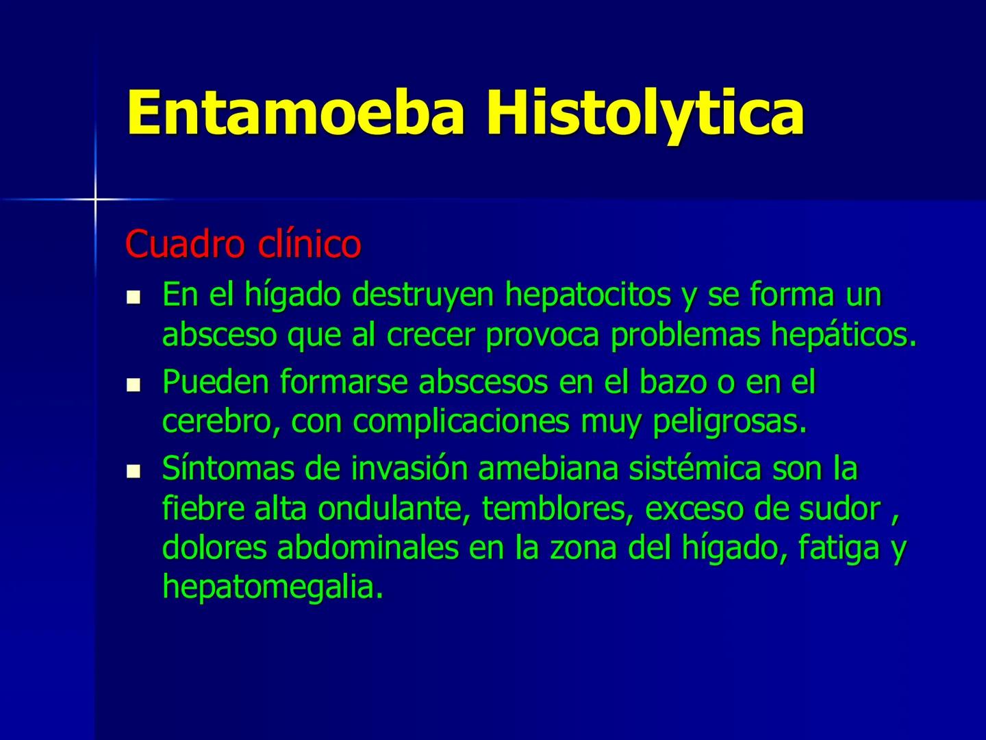 # Protozoarios
100 μm # Protozoarios
■ Son unicelulares pertenecientes al Reino Protista,
subreino Protozoa.
* Eucariotas, microscopico