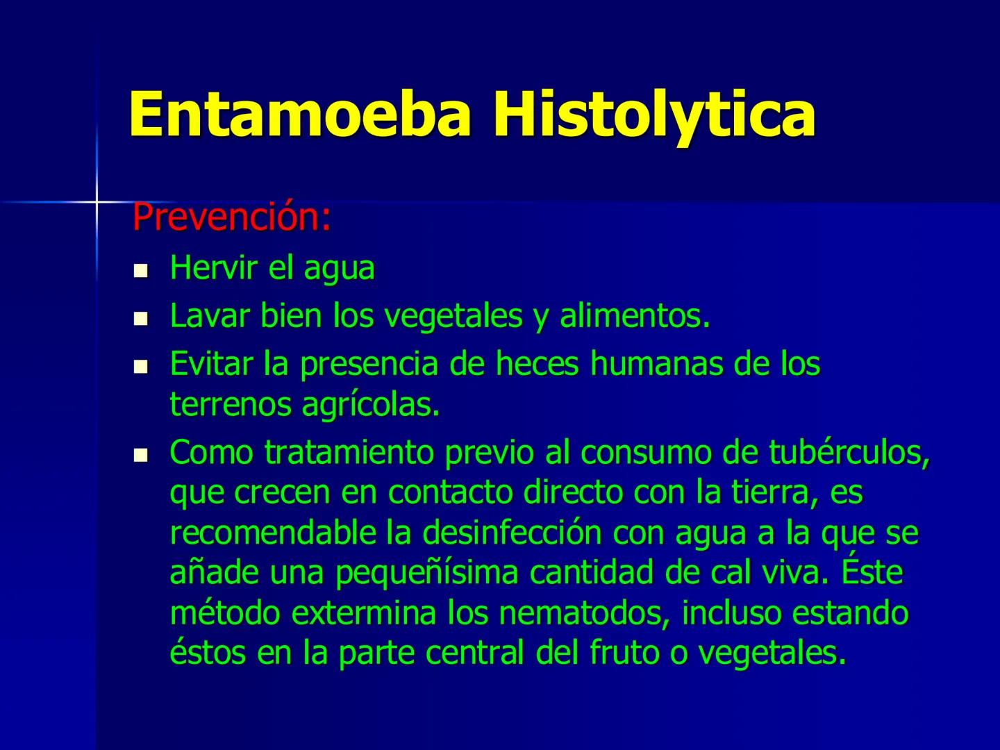 # Protozoarios
100 μm # Protozoarios
■ Son unicelulares pertenecientes al Reino Protista,
subreino Protozoa.
* Eucariotas, microscopico