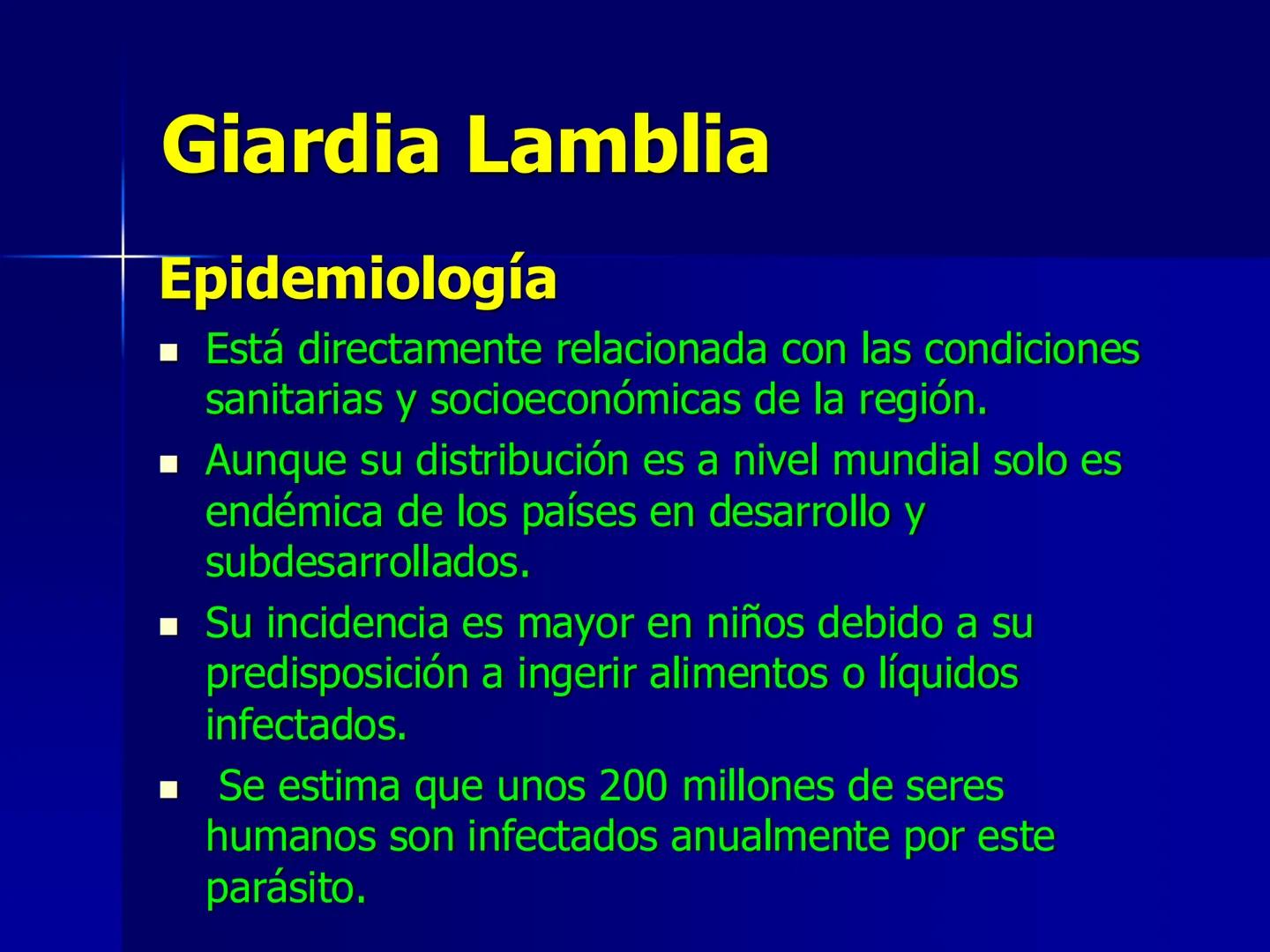 # Protozoarios
100 μm # Protozoarios
■ Son unicelulares pertenecientes al Reino Protista,
subreino Protozoa.
* Eucariotas, microscopico